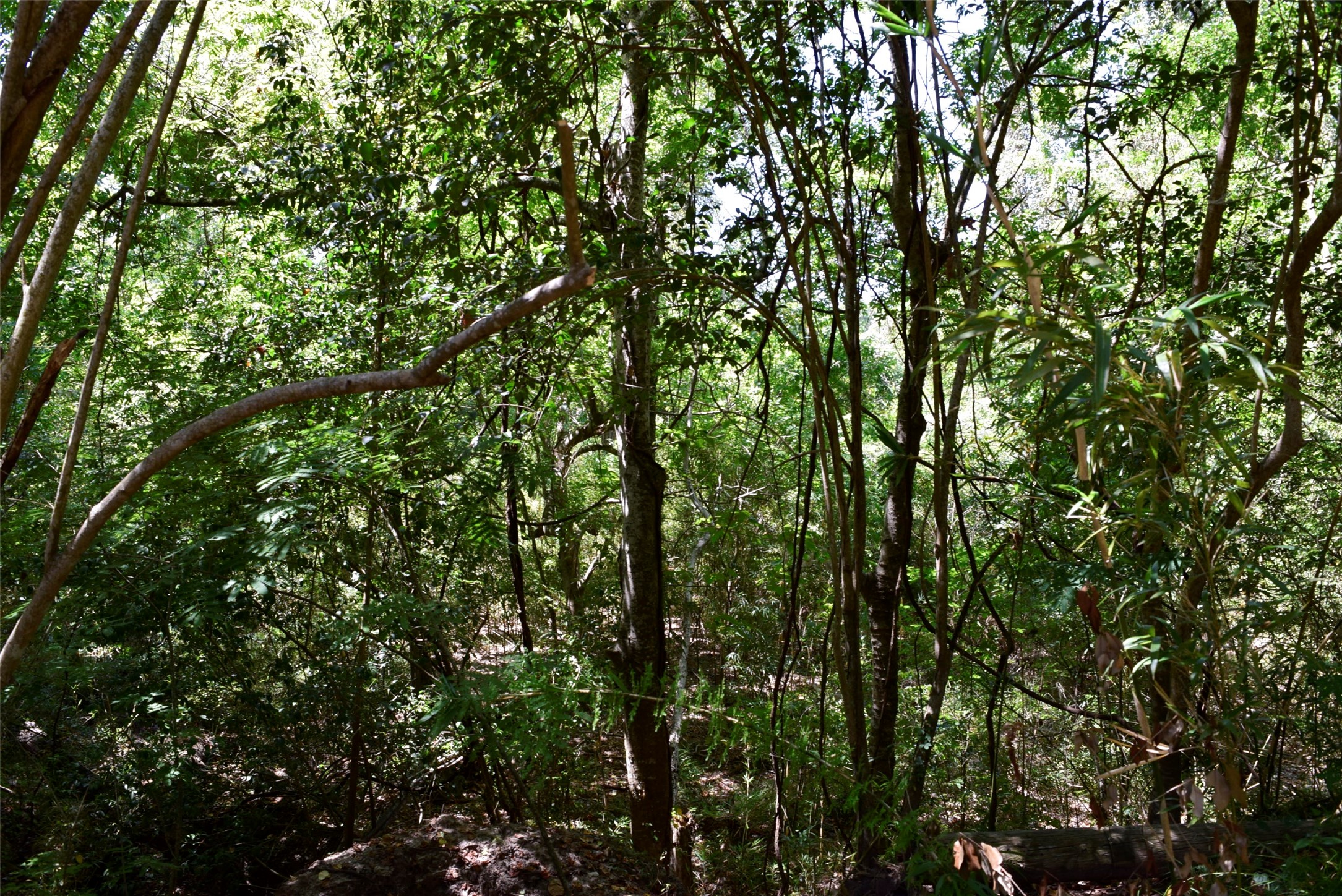 732 River Road Property Photo 3