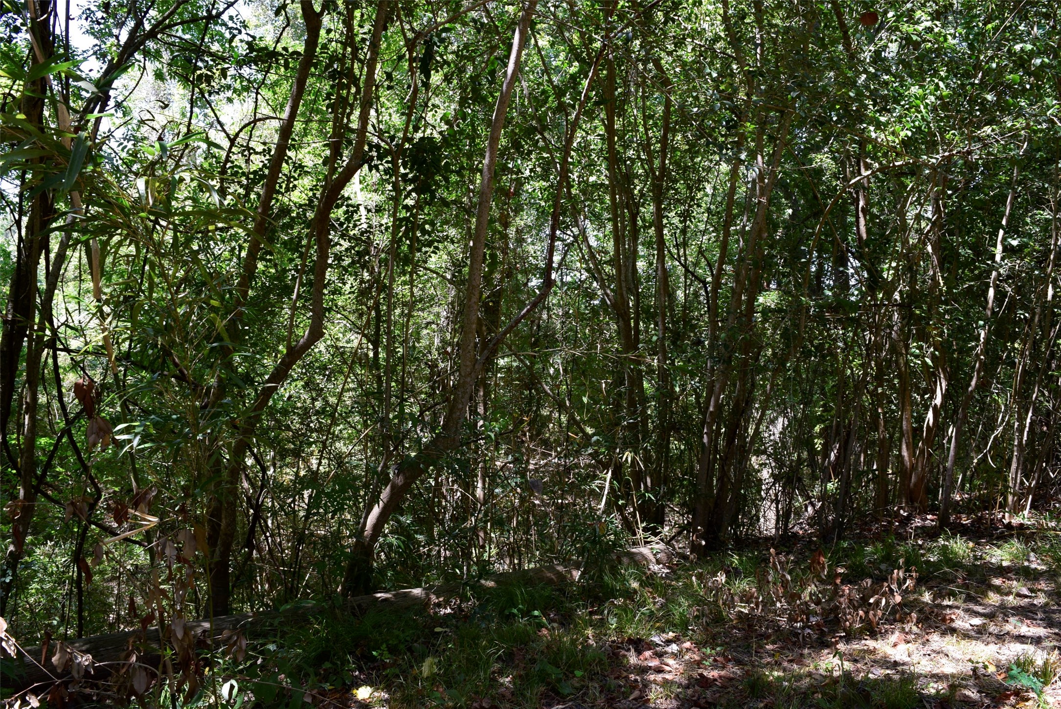 732 River Road Property Photo 4