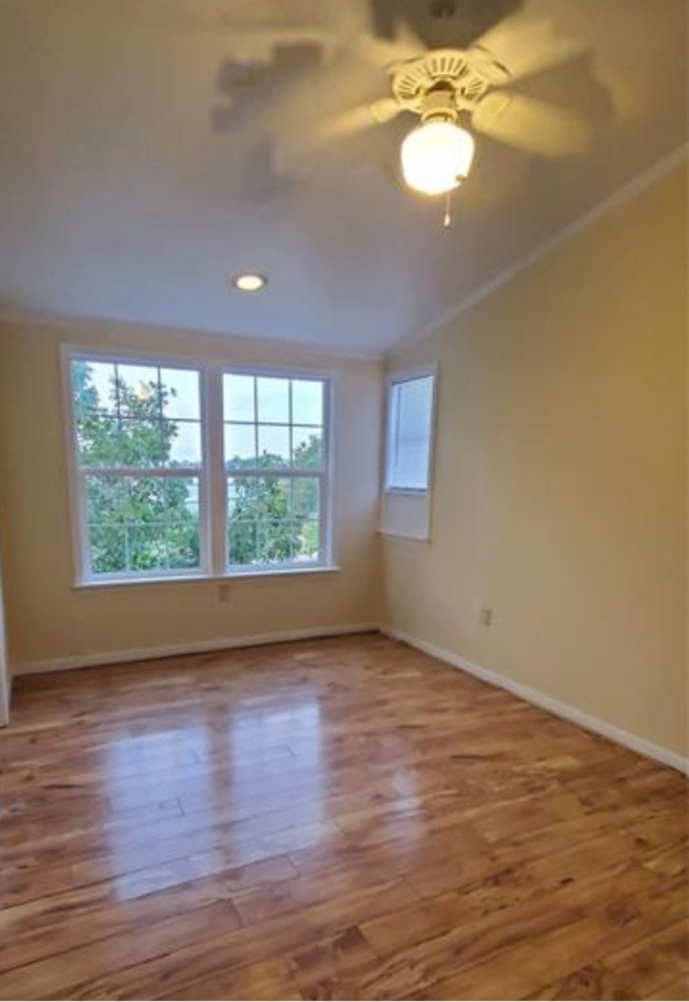 1901 Avenue D Property Photo 14