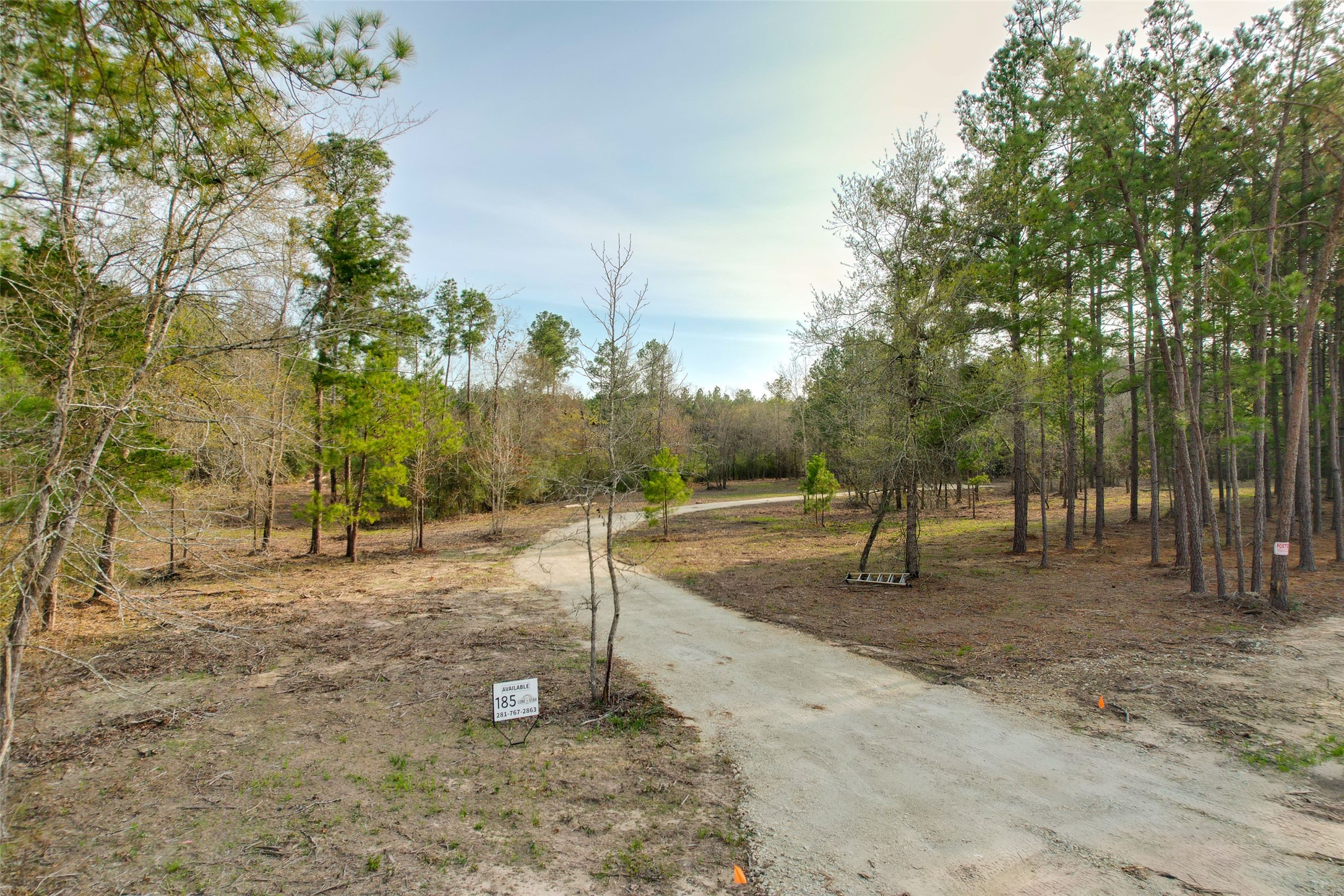 450 Williamson Way Property Photo 7