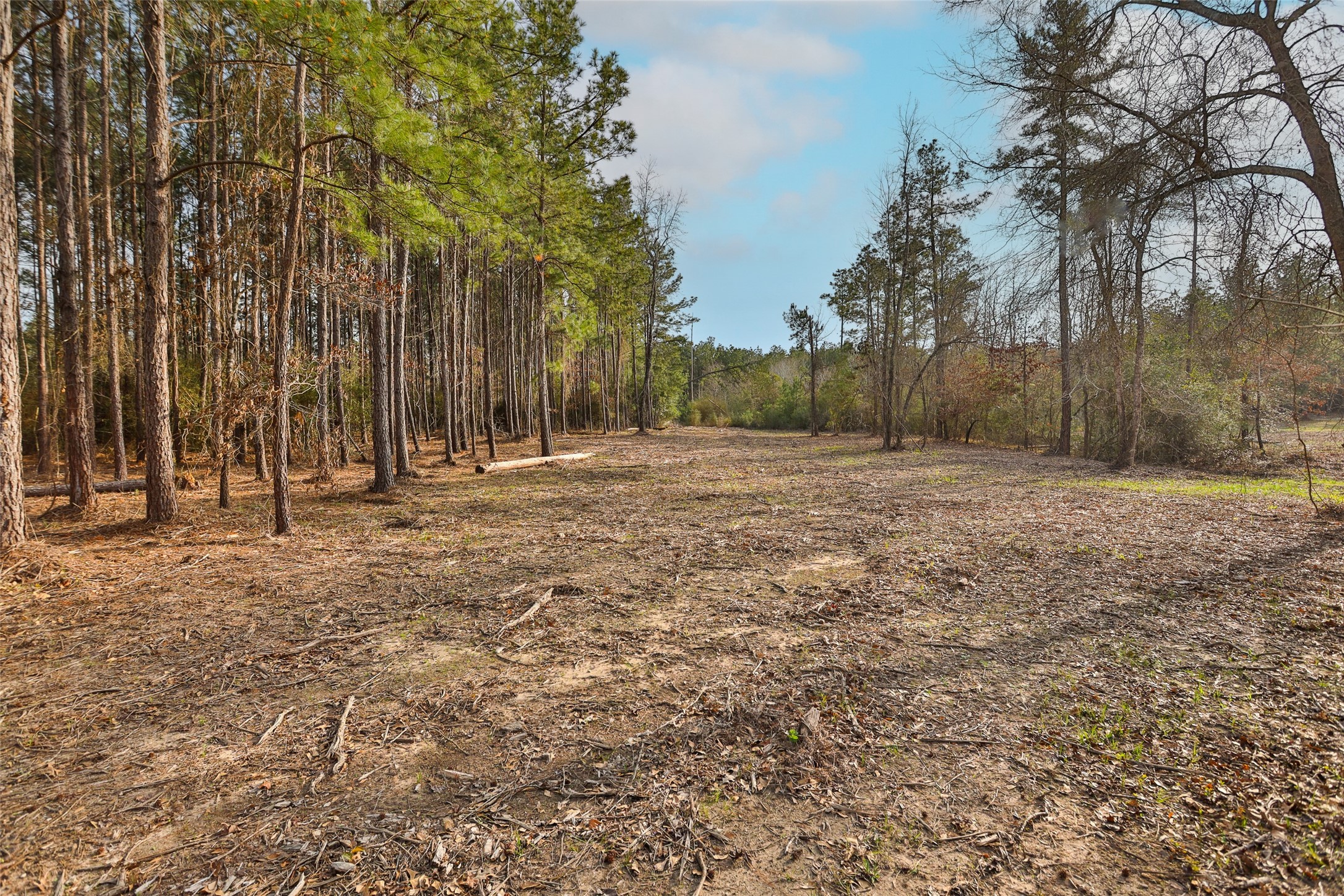450 Williamson Way Property Photo 18