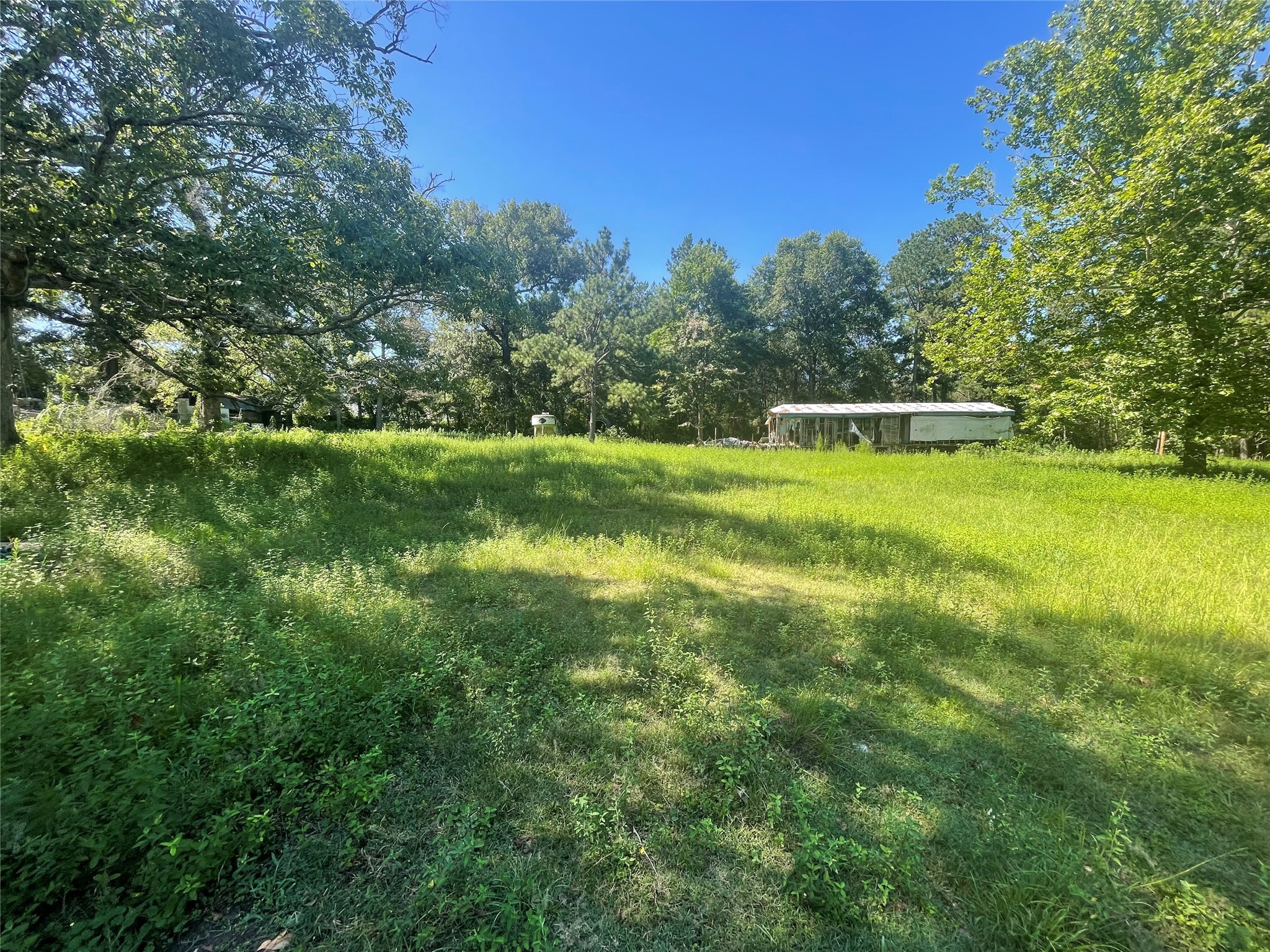 3860 Crockett Martin Road Property Photo 5