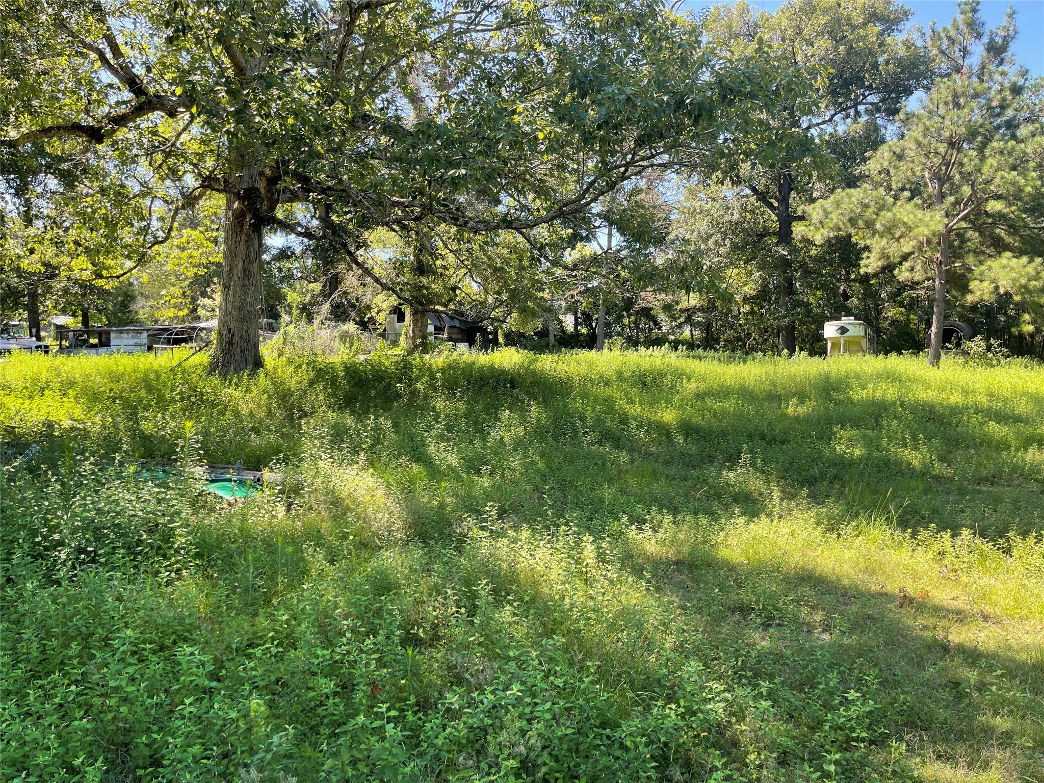3860 Crockett Martin Road Property Photo 7