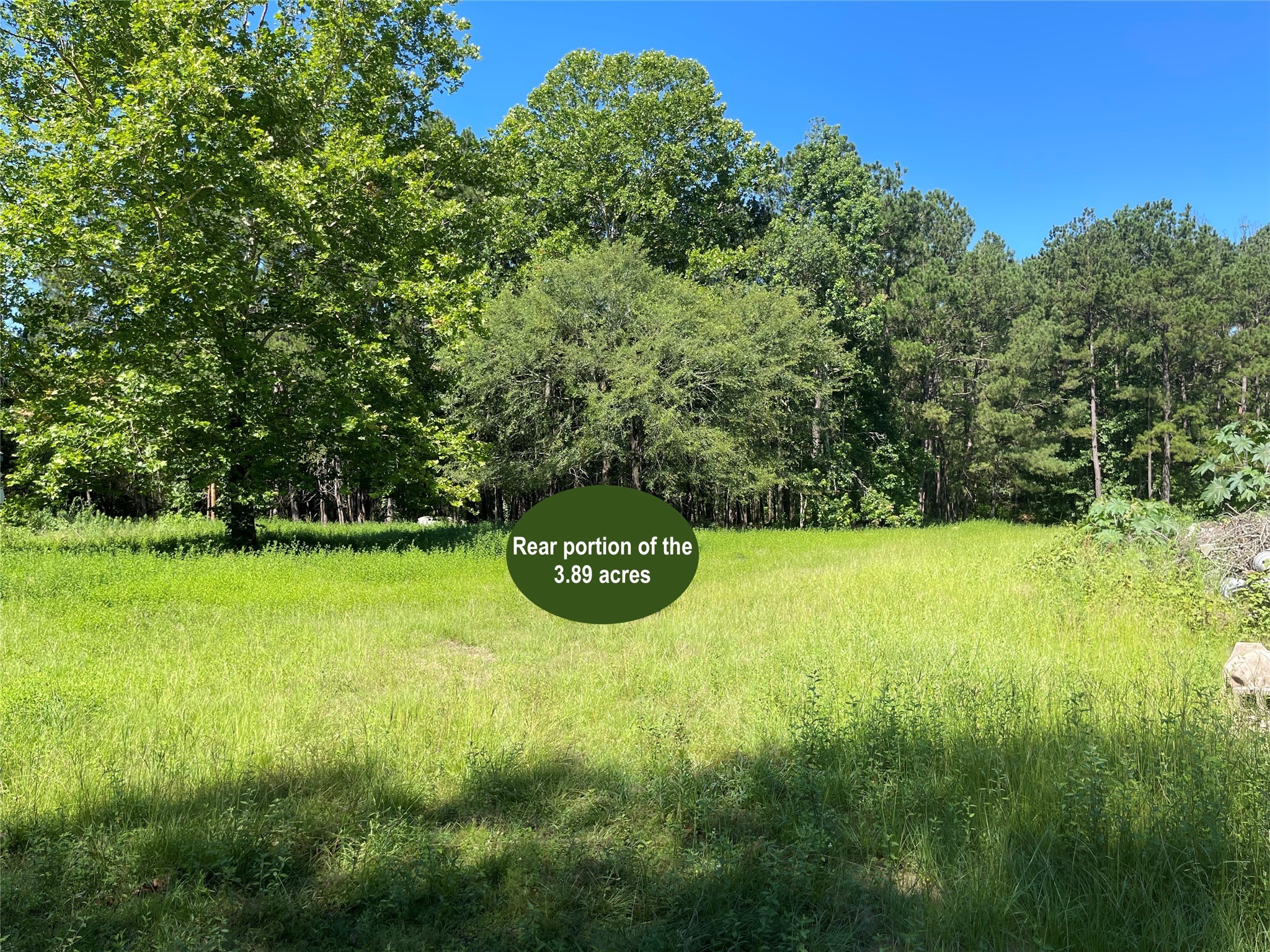 3860 Crockett Martin Road Property Photo 8