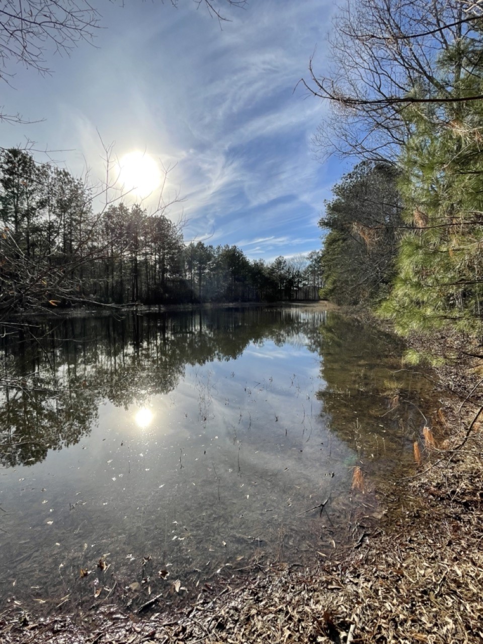 Tbd Meekins Rd Property Photo