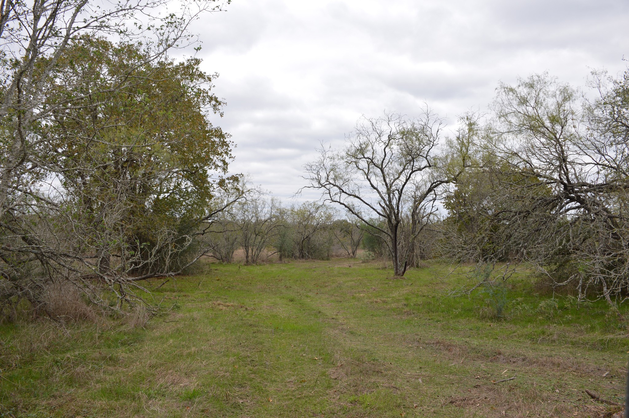 00020 Fawn Oaks Trail Property Photo 1