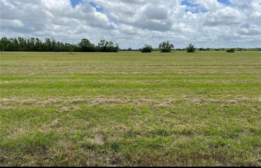 130 Fm 521 Property Photo 2