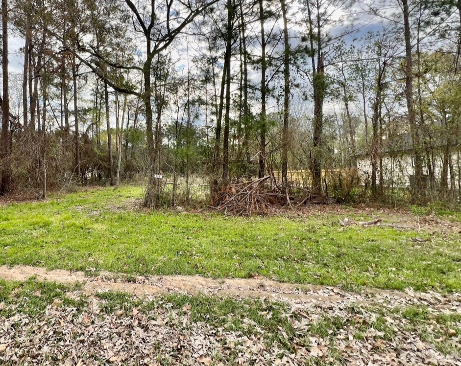 153 E Cattle Drive Property Photo 5