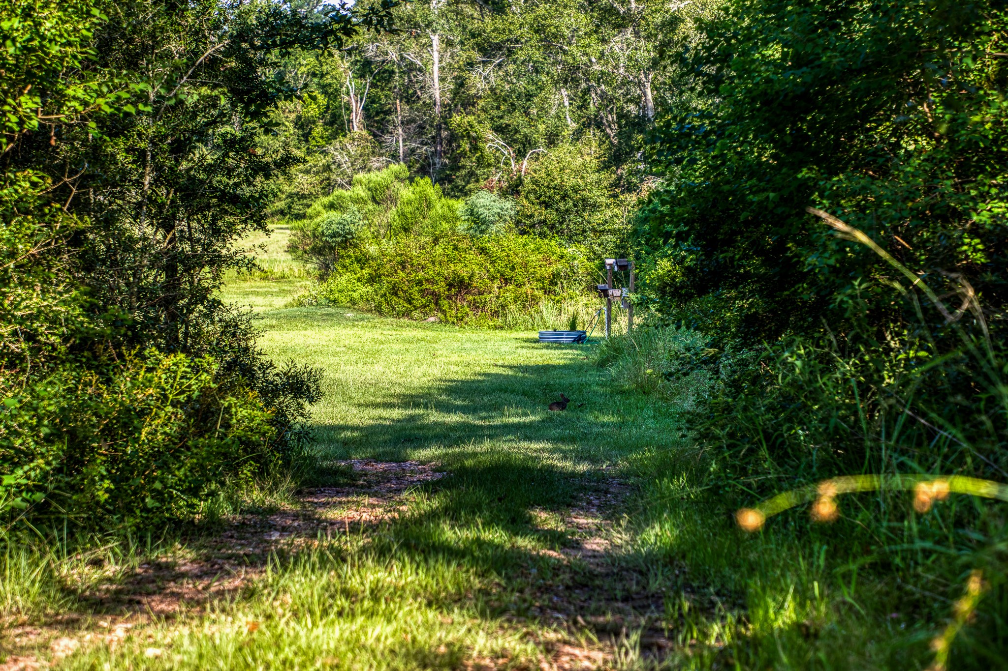 533 Meadow Creek Road Property Photo 28