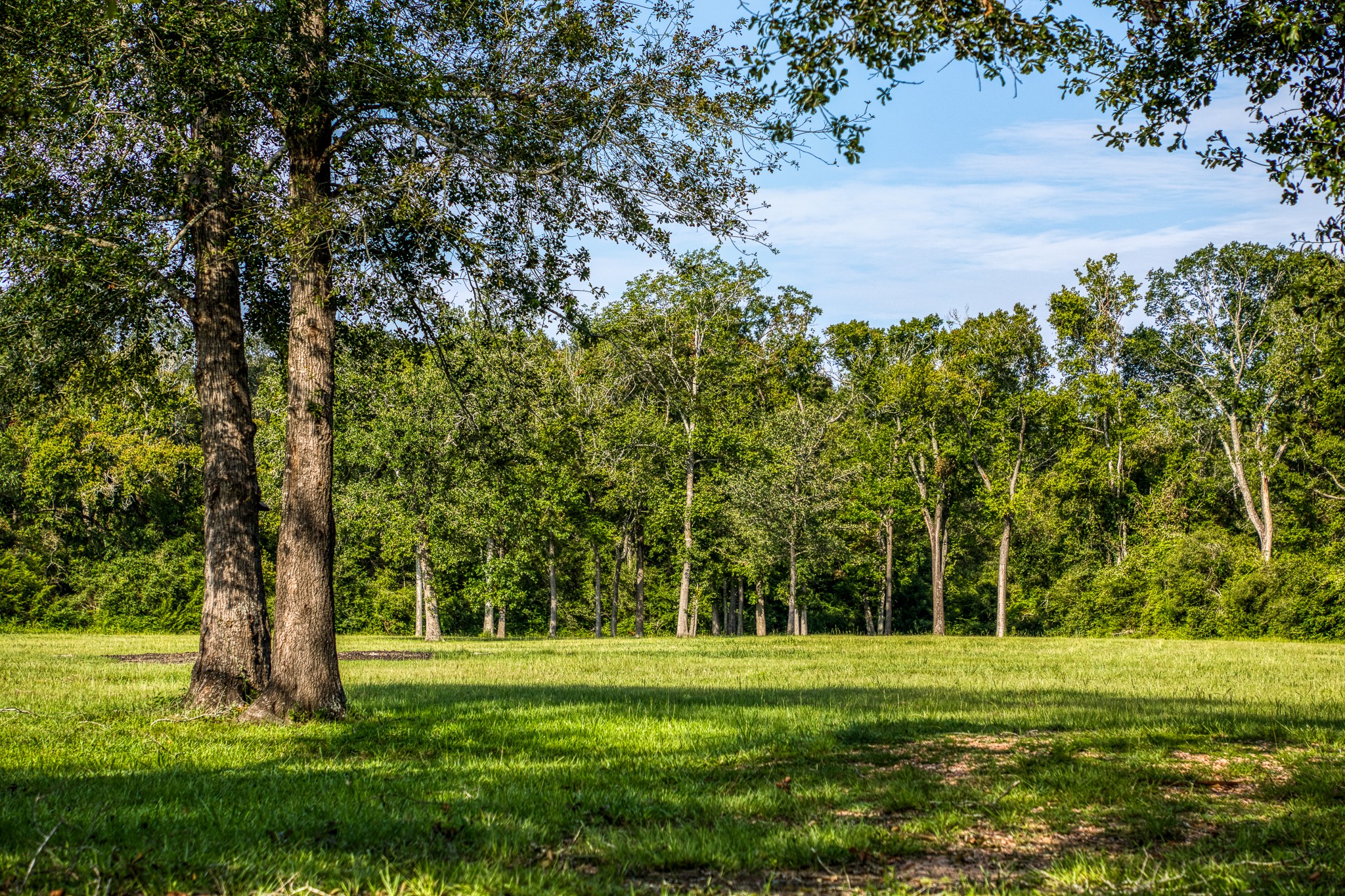 533 Meadow Creek Road Property Photo 29