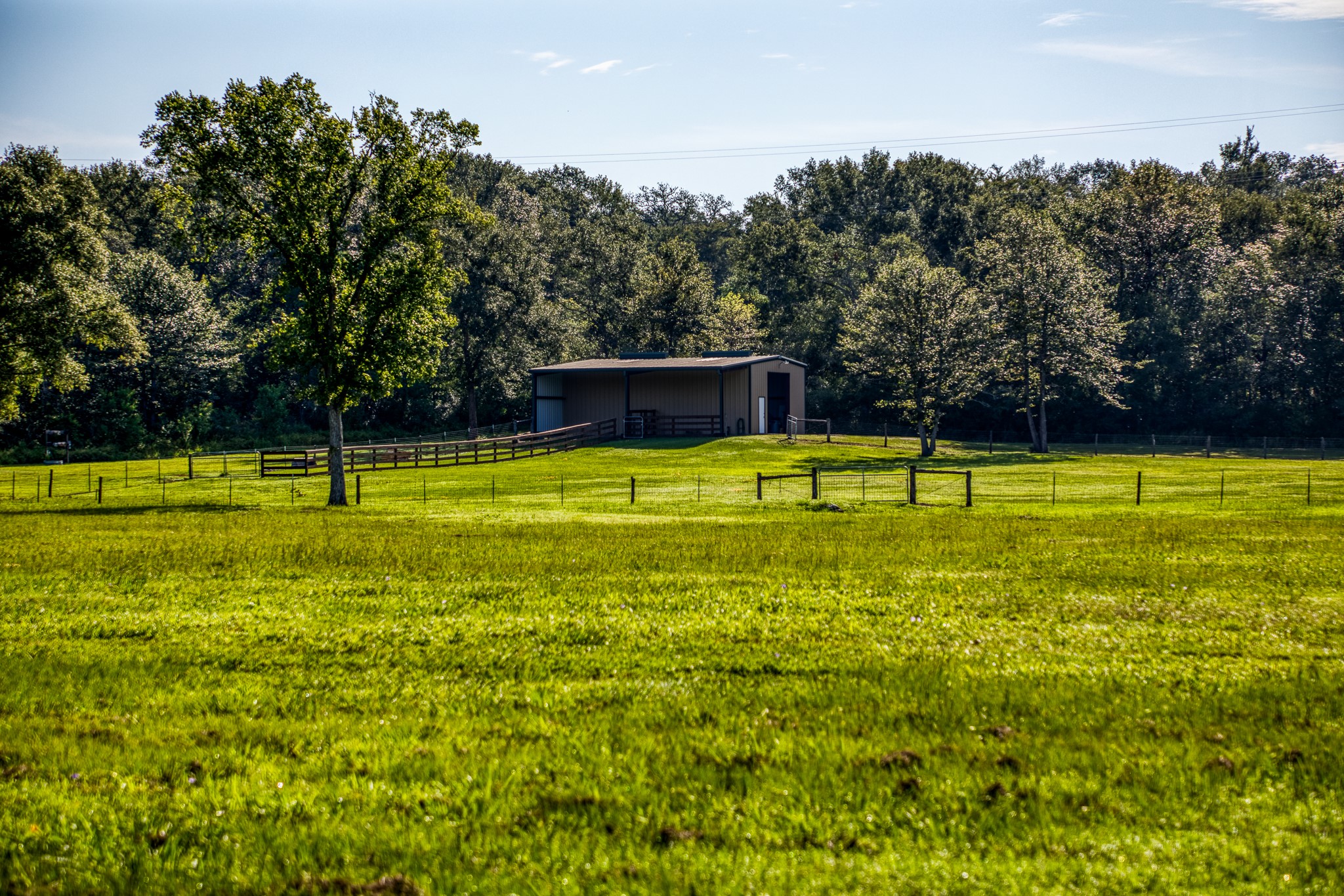 533 Meadow Creek Road Property Photo 32