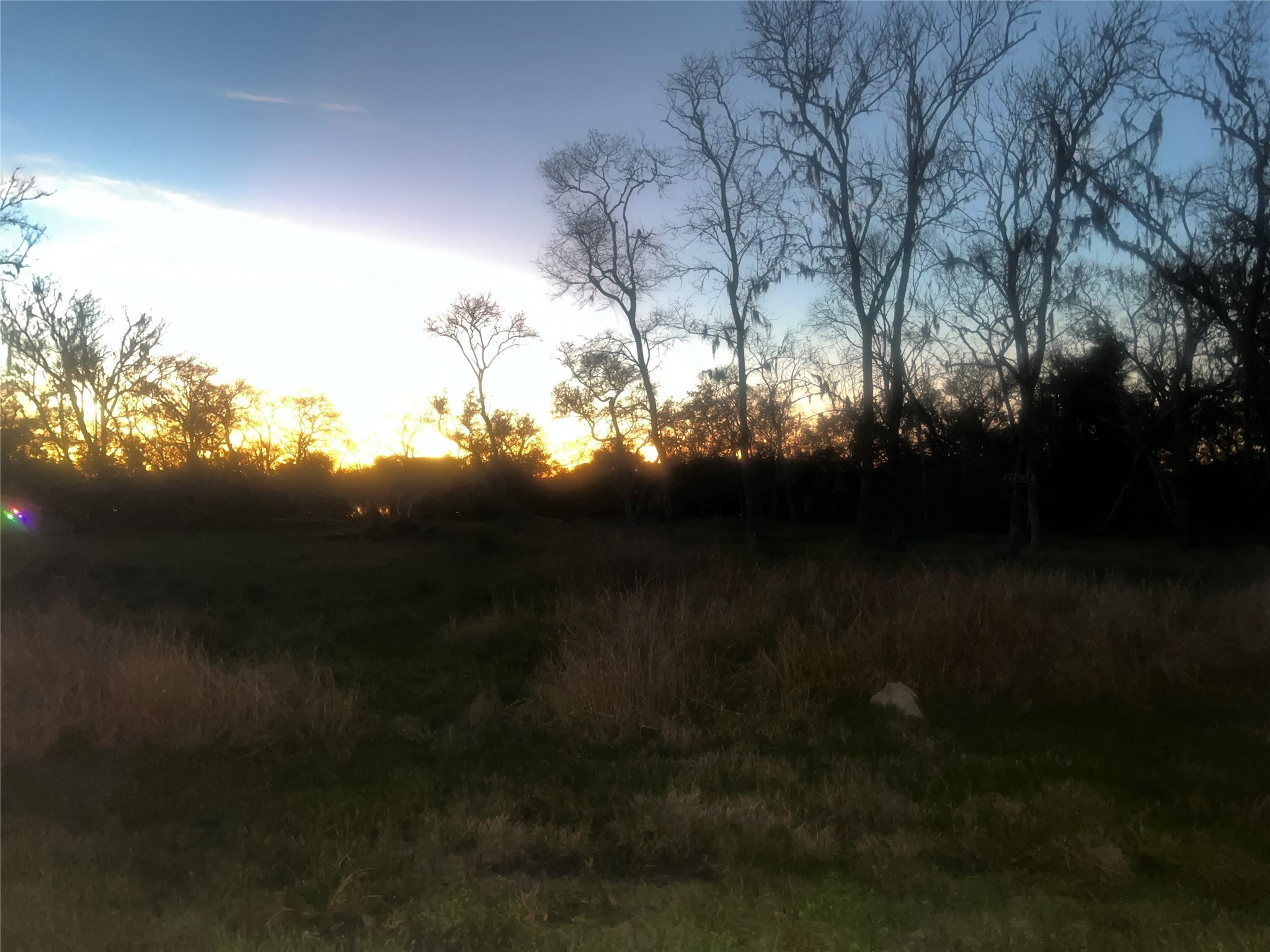 32602 Bayou Bend Property Photo 4