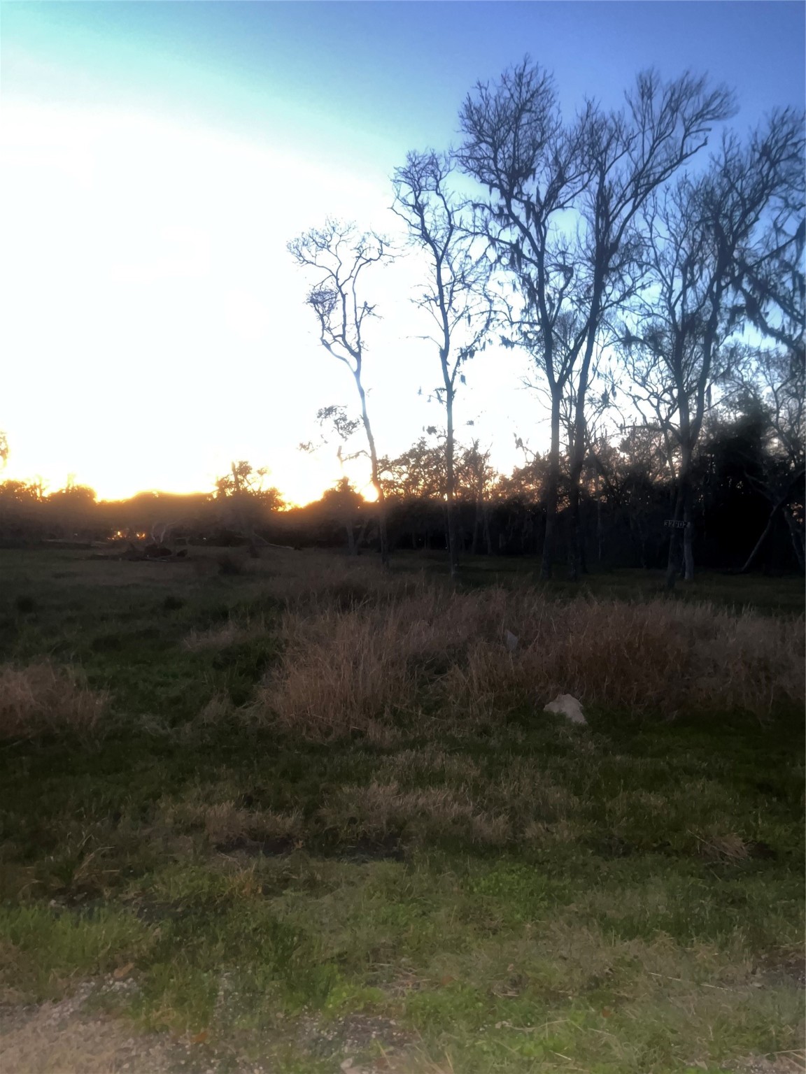 32602 Bayou Bend Property Photo 5