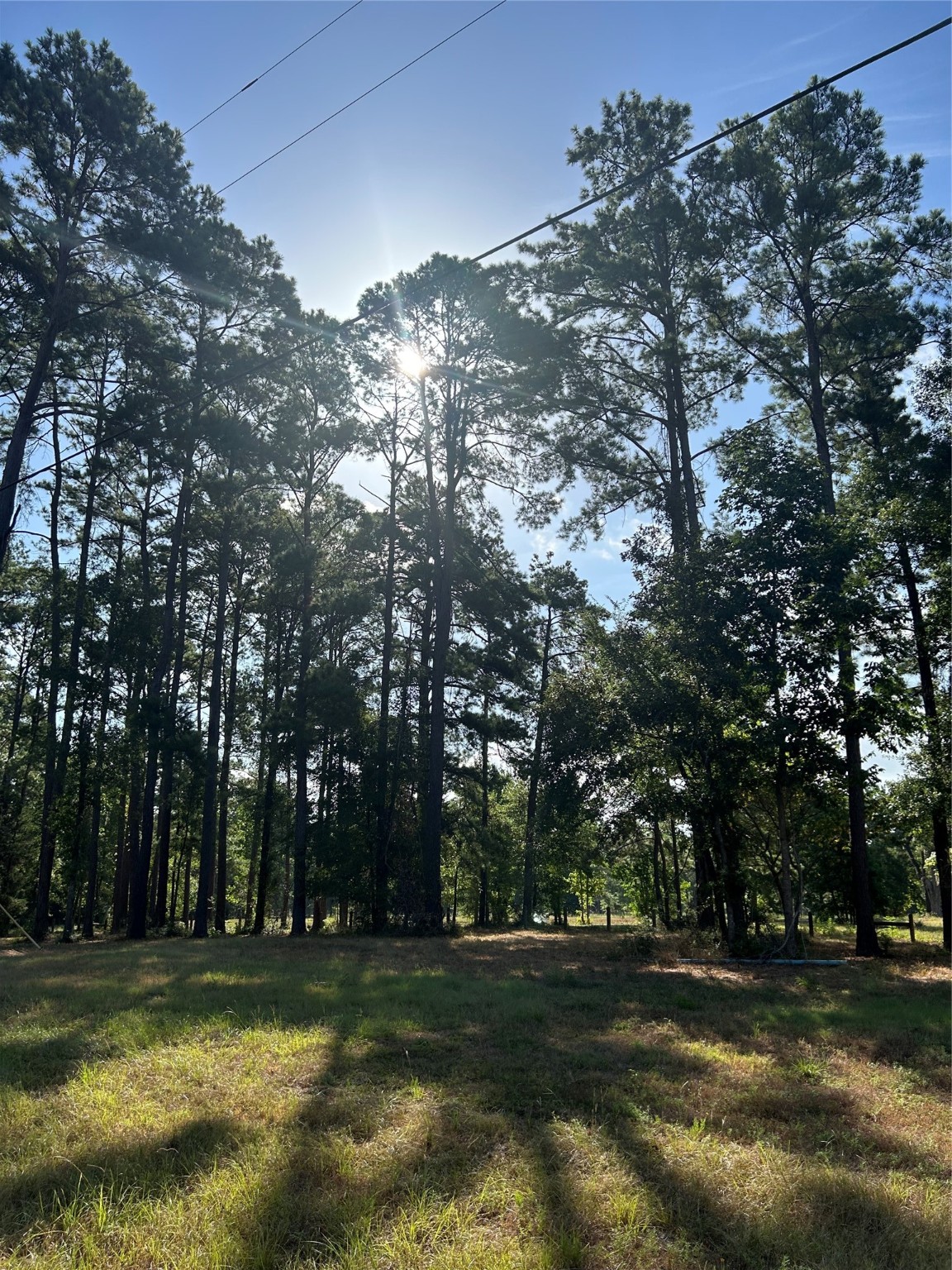 404142 Rob Property Photo 1