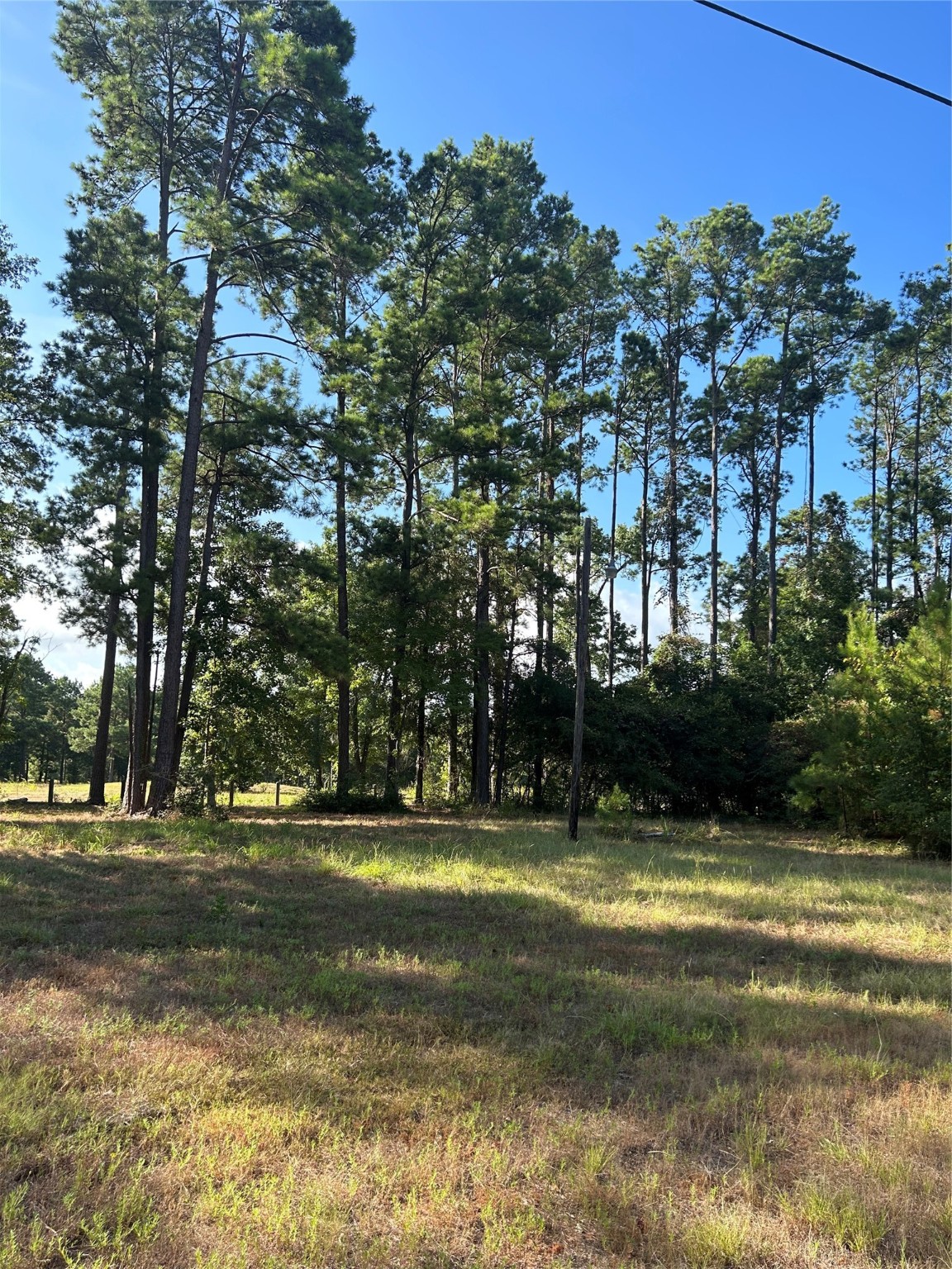 404142 Rob Property Photo 2