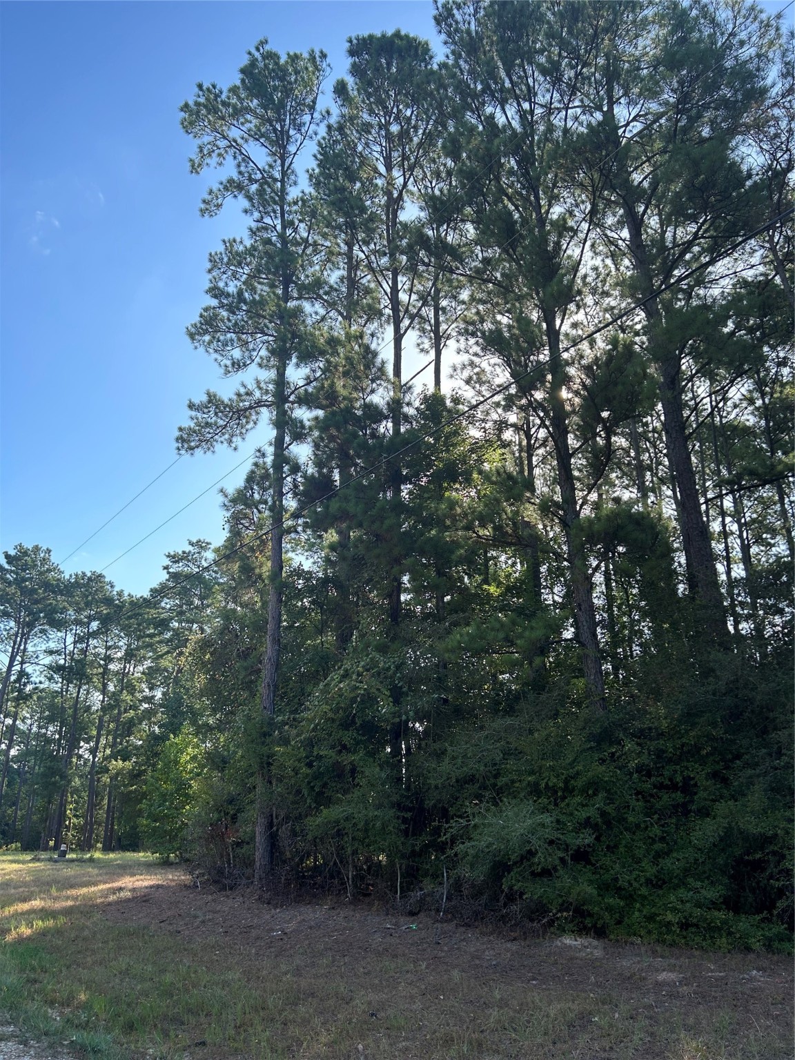 404142 Rob Property Photo 3