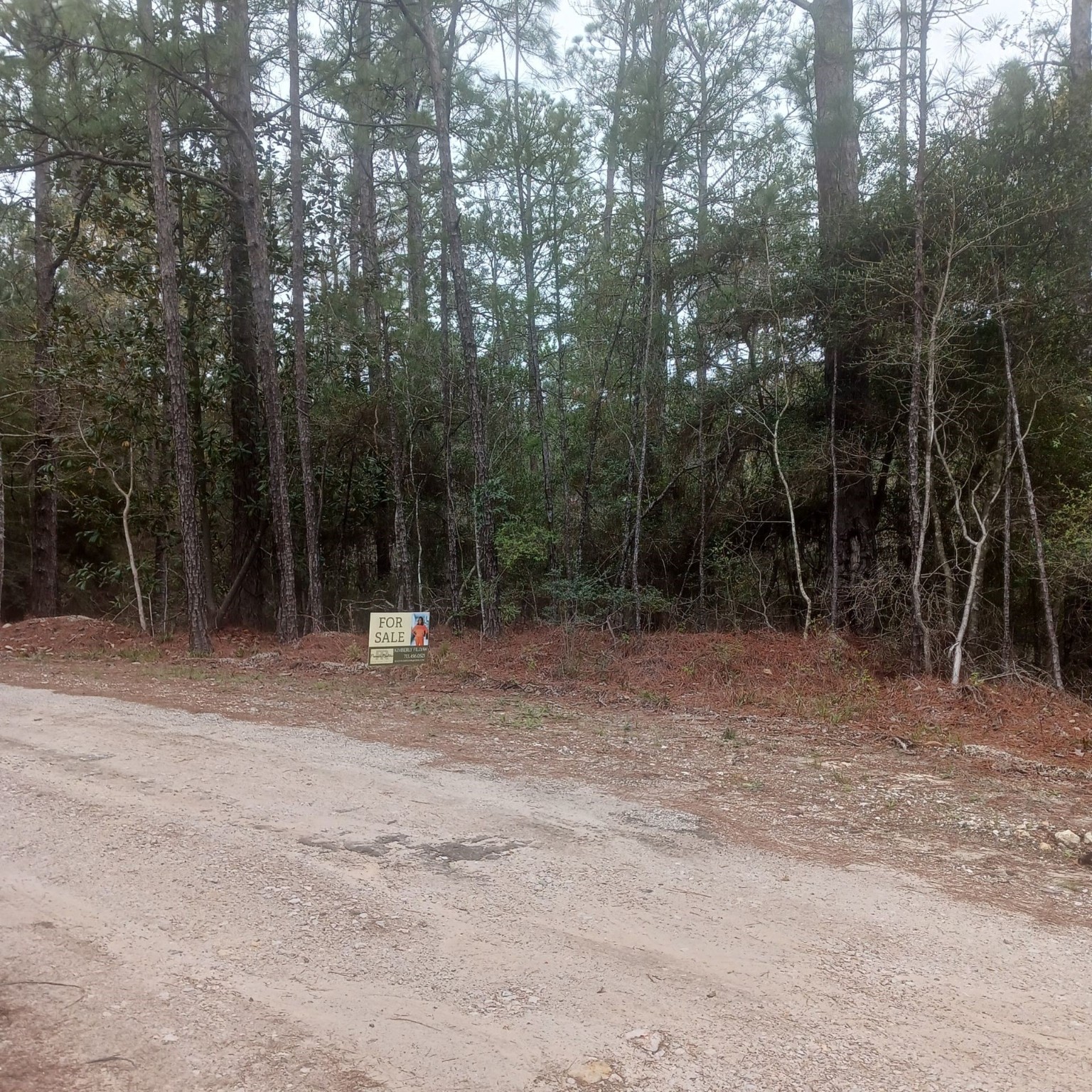 Tbd Idlewood Court Property Photo 3