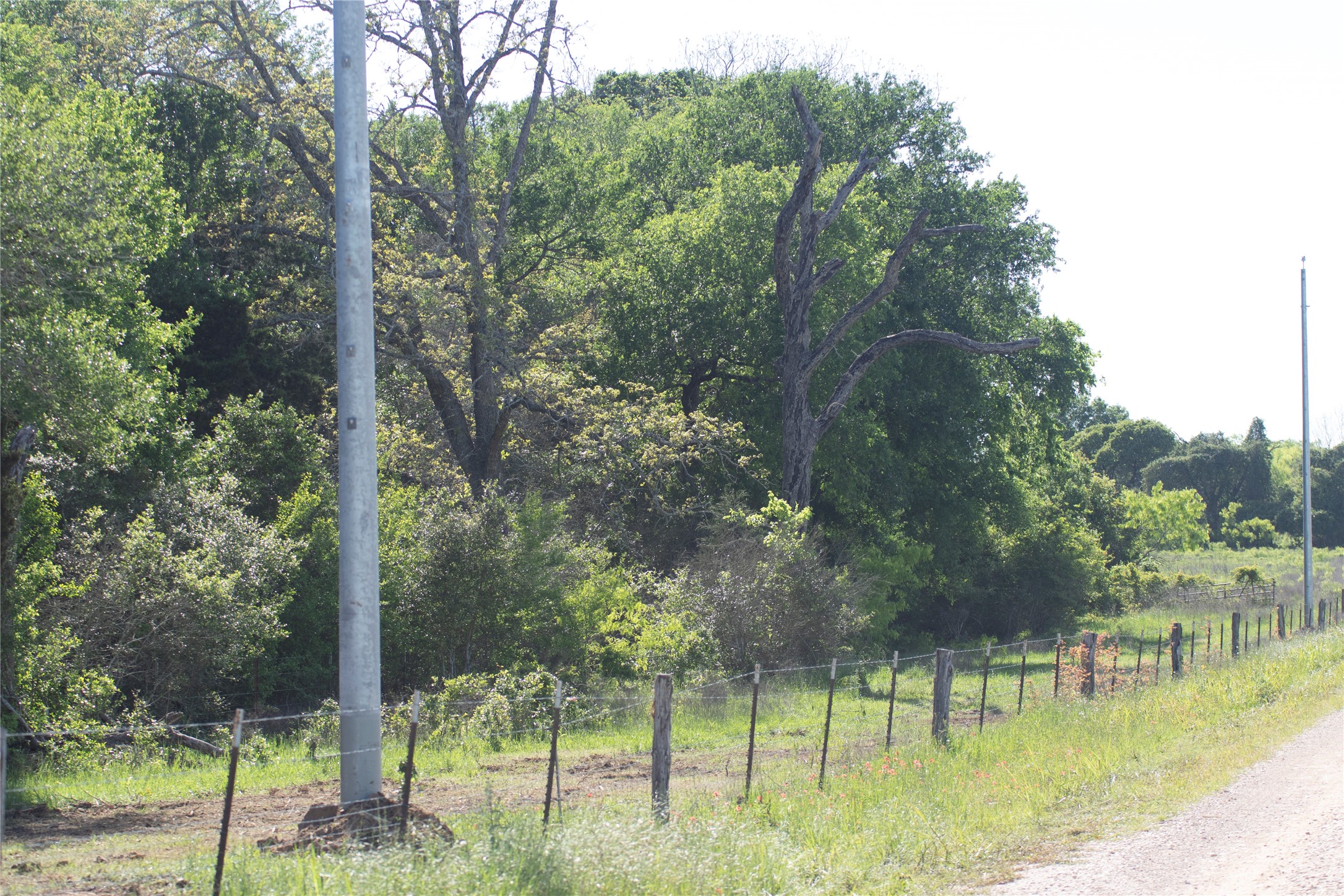 Tract 6 Hunt Lane Property Photo 1