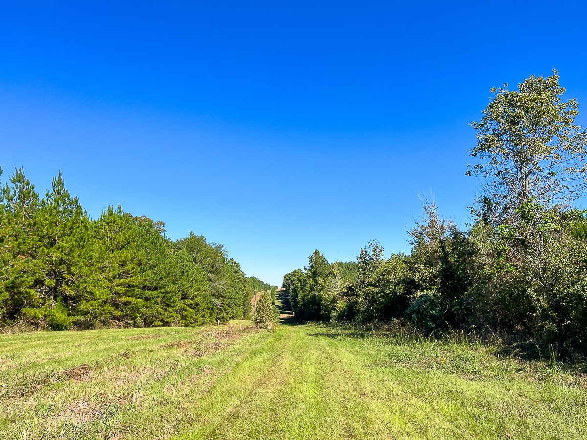 03 County Road 1090 Property Photo 2