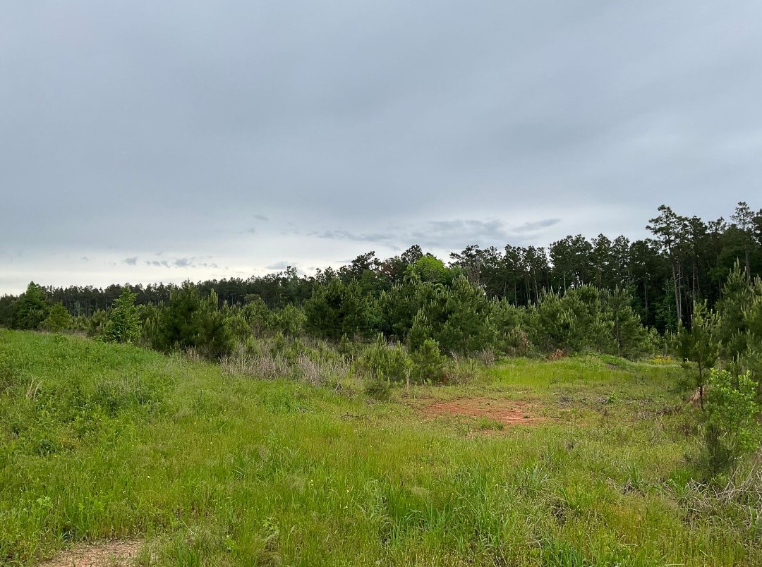 03 County Road 1090 Property Photo 3