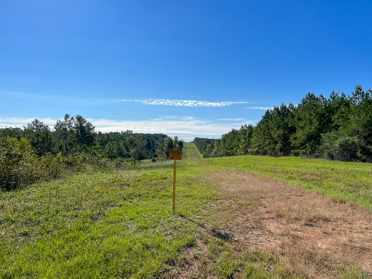 03 County Road 1090 Property Photo 7