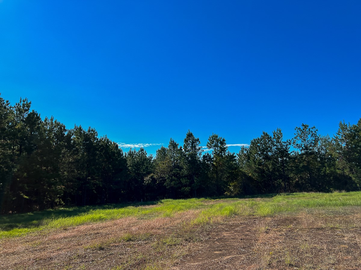 03 County Road 1090 Property Photo 8