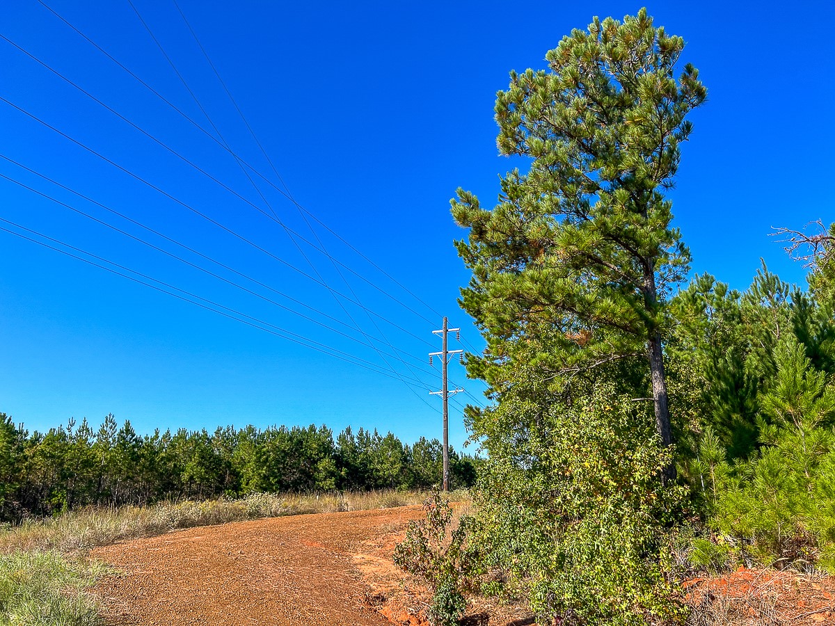 03 County Road 1090 Property Photo 15