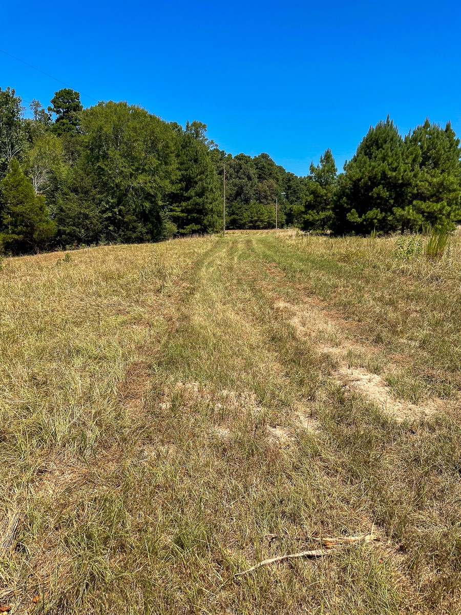 0 County Road 839 Property Photo 1