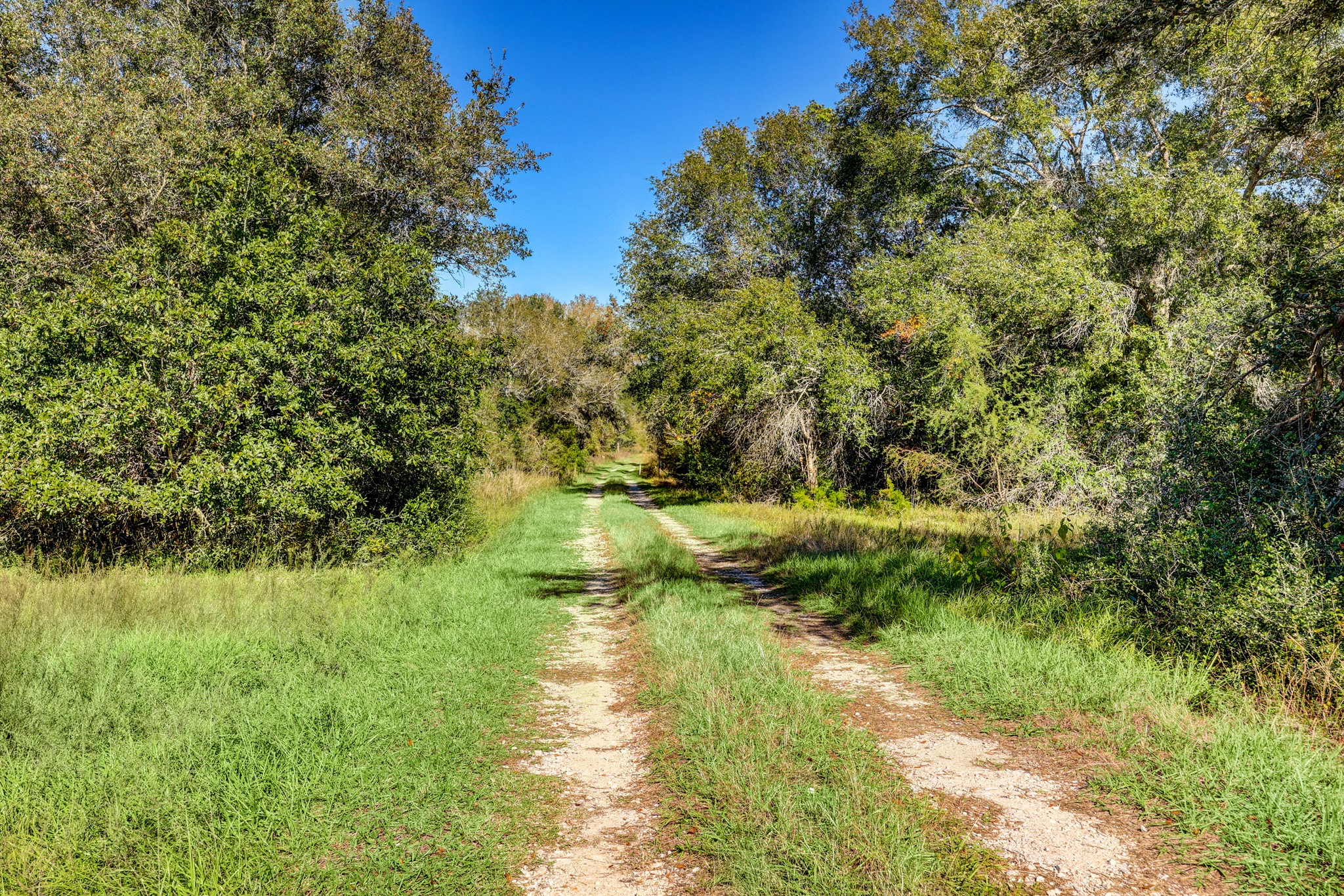 000 County Road 509 Off County Rd Property Photo 1