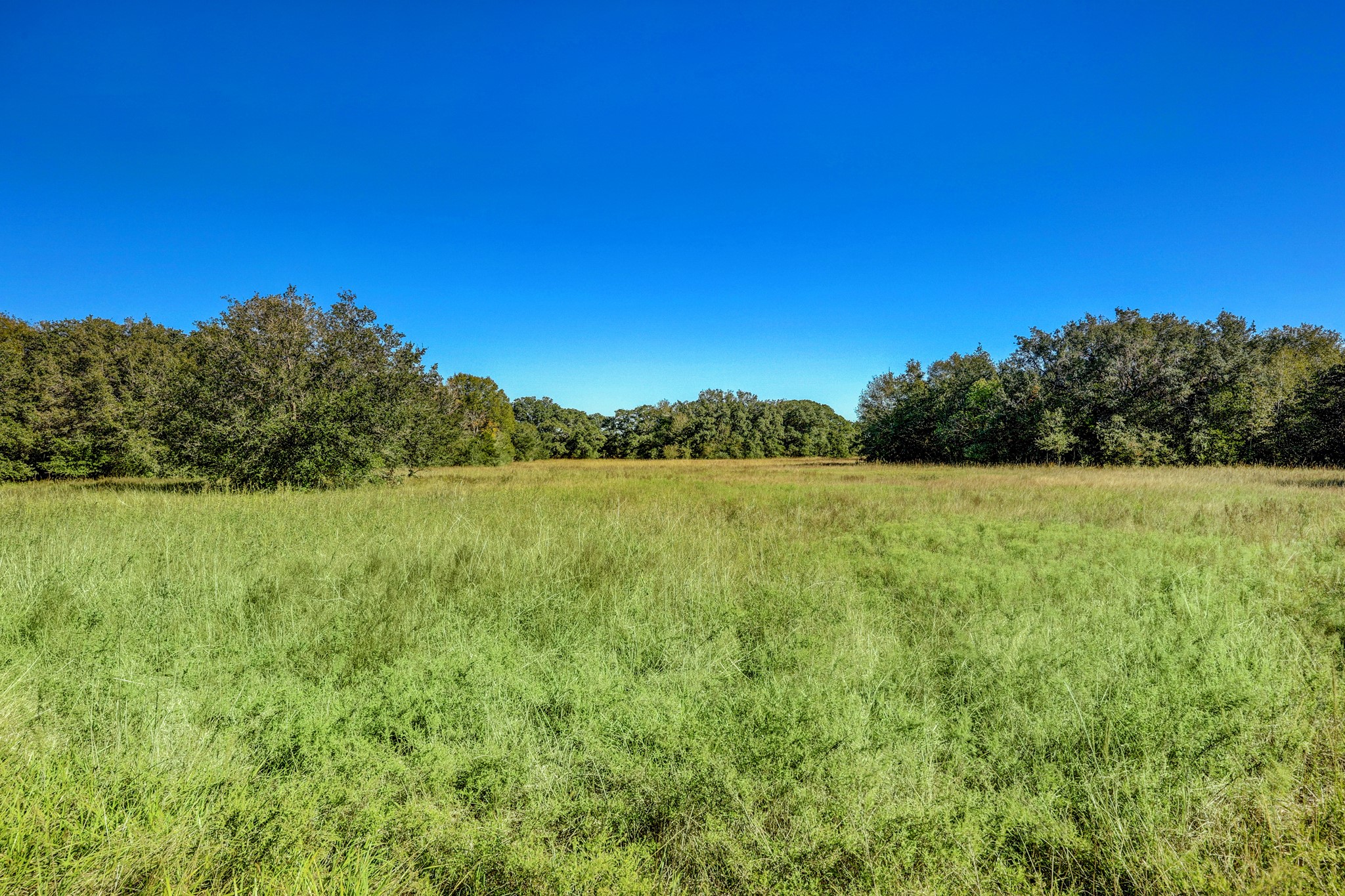 000 County Road 509 Off County Rd Property Photo 2