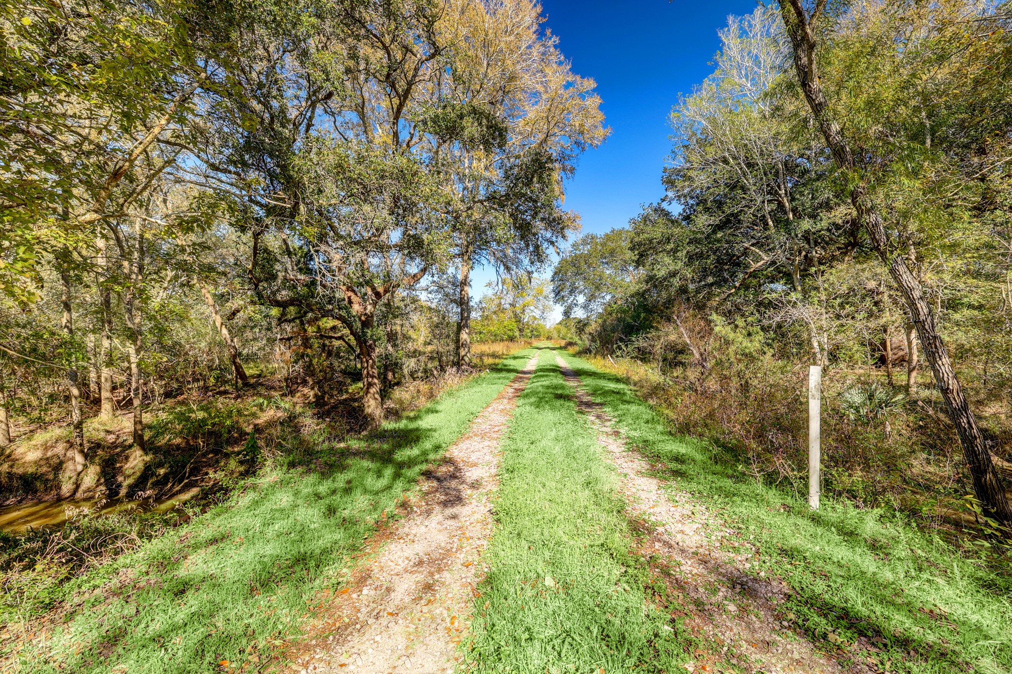 000 County Road 509 Off County Rd Property Photo 3