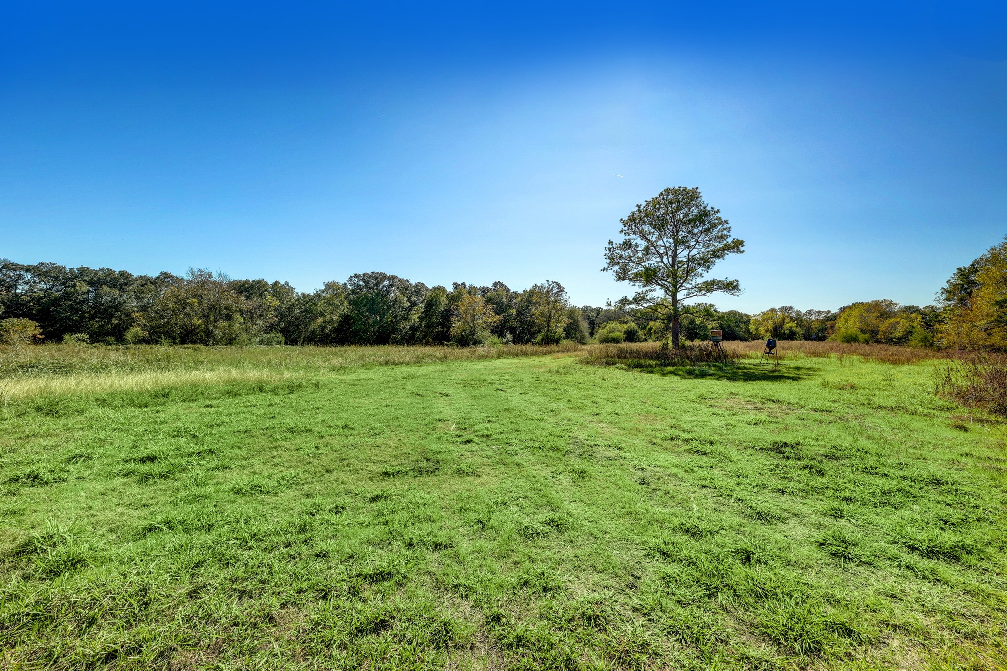 000 County Road 509 Off County Rd Property Photo 5