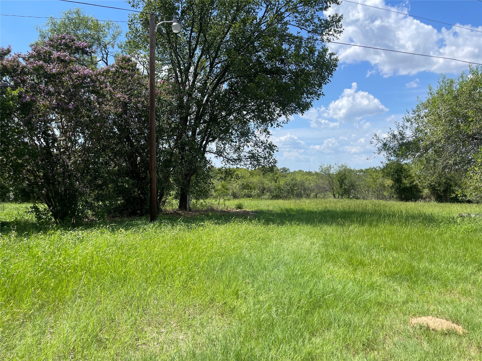 390 Bell Road Property Photo 1