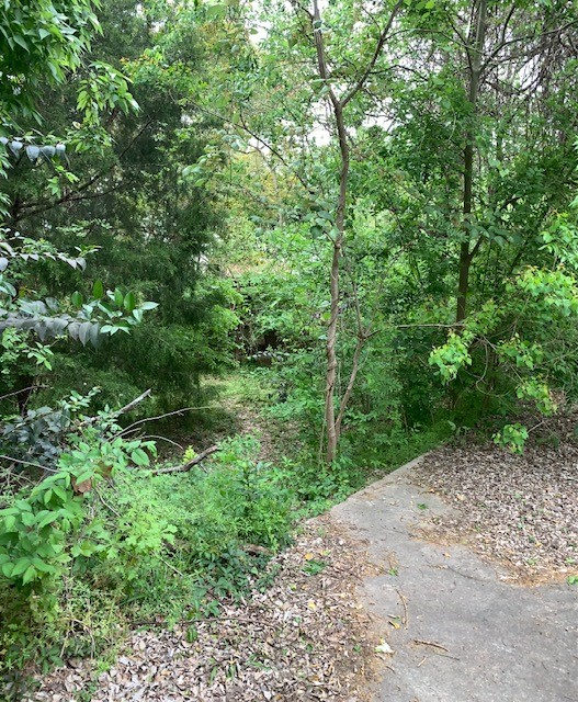 1812 N Sam Houston Parkway Parkway W Property Photo 1