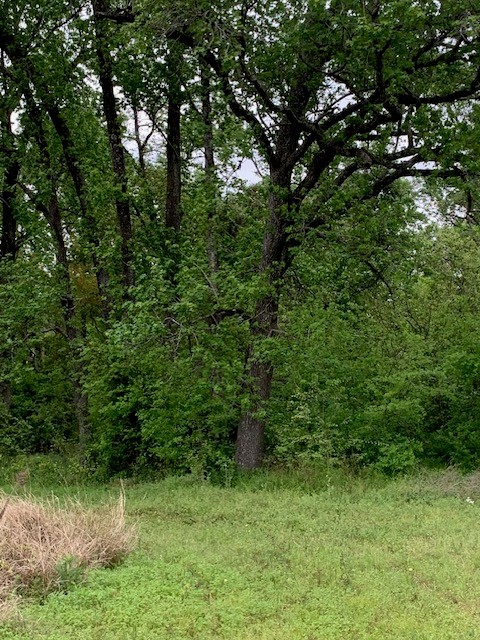1812 N Sam Houston Parkway Parkway W Property Photo 6