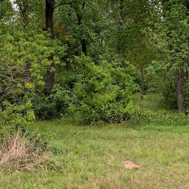 1812 N Sam Houston Parkway Parkway W Property Photo 7