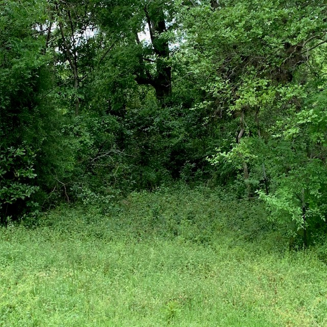 1812 N Sam Houston Parkway Parkway W Property Photo 9