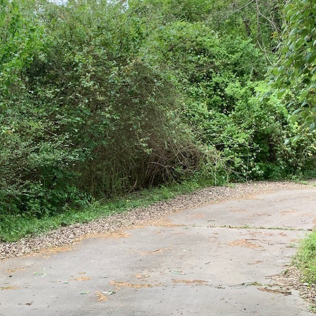 1812 N Sam Houston Parkway Parkway W Property Photo 13