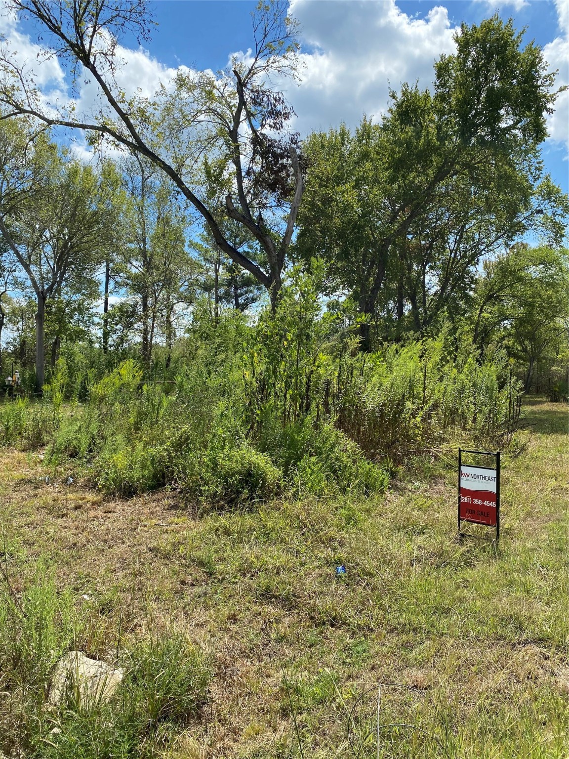 000 Frank Lane Property Photo 6