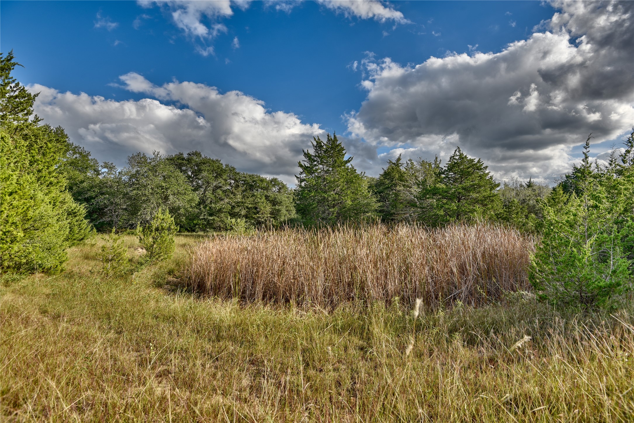 Tbd Palestine Rd Tr 3 Property Photo