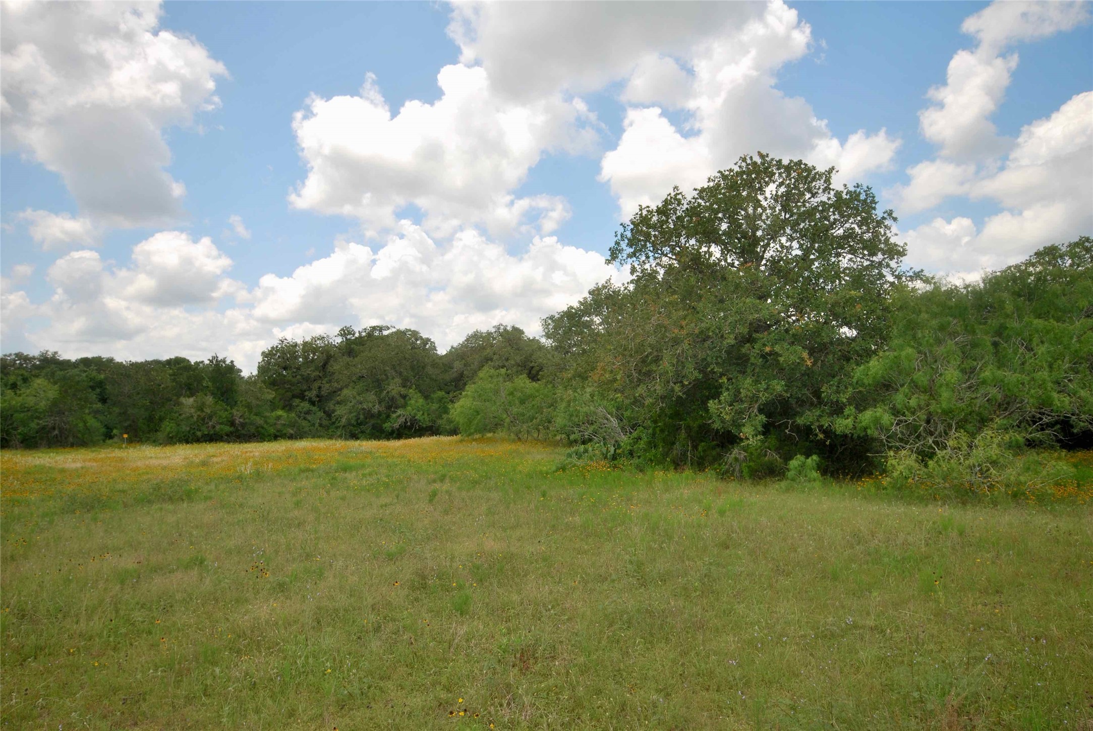 3892 County Rd 397 Property Photo