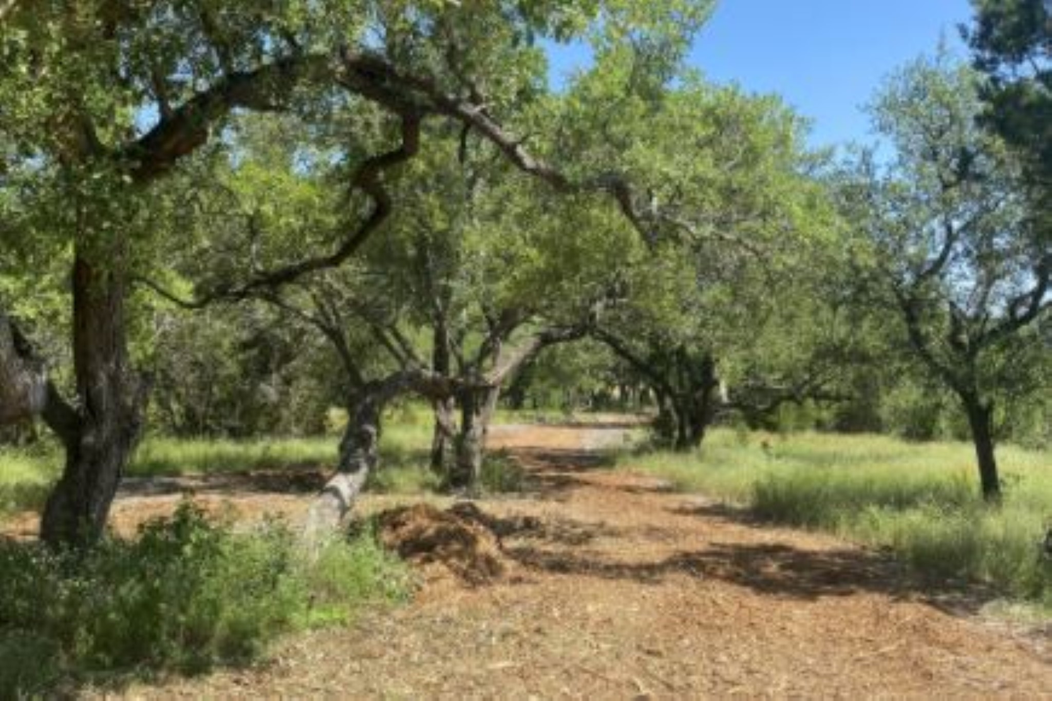 208 Spicewood Trail Drive Property Photo 10