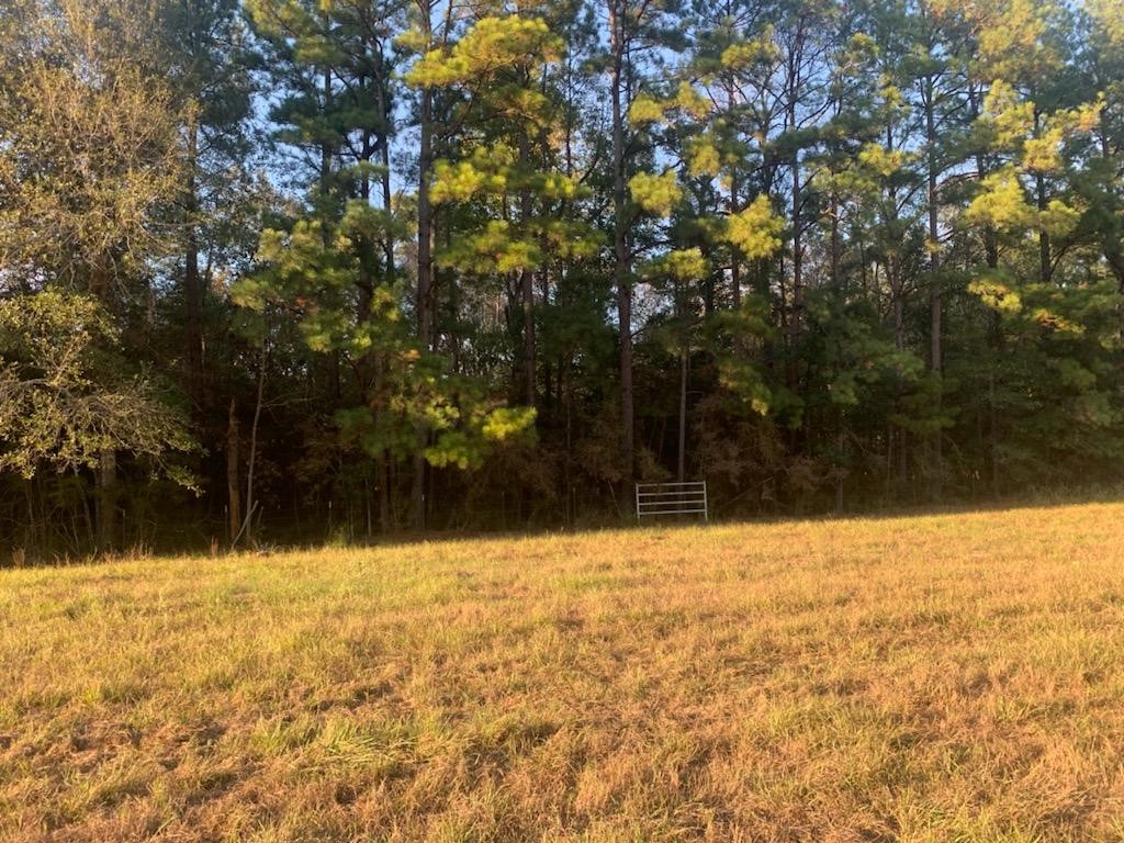 0 Lakeland Dr Property Photo 1