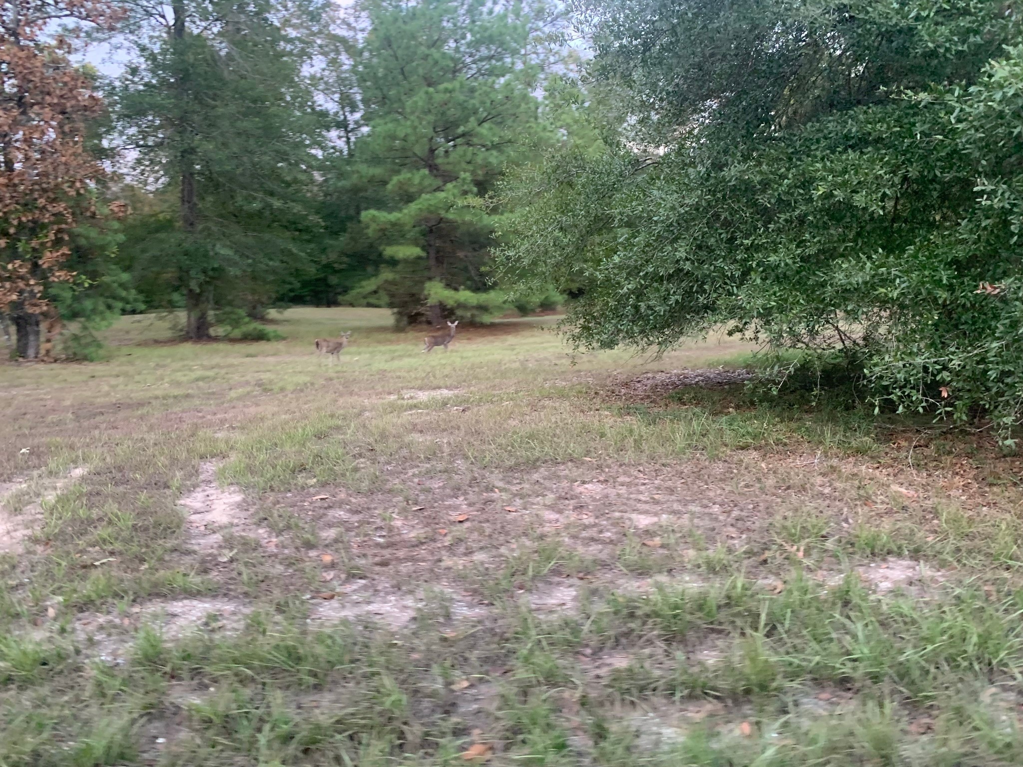 0 Lakeland Dr Property Photo 3