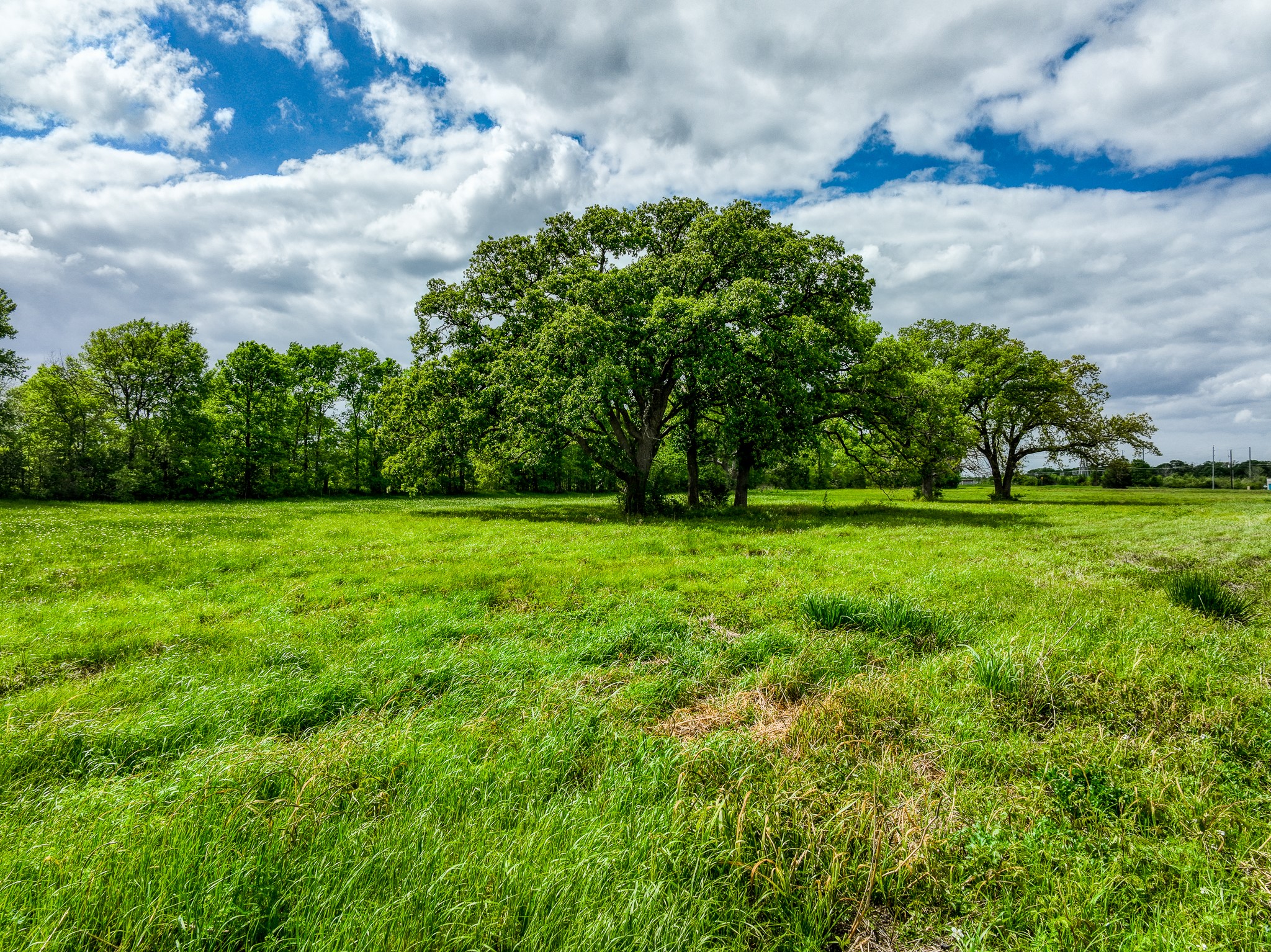 26670 Sh-6 S Property Photo 5