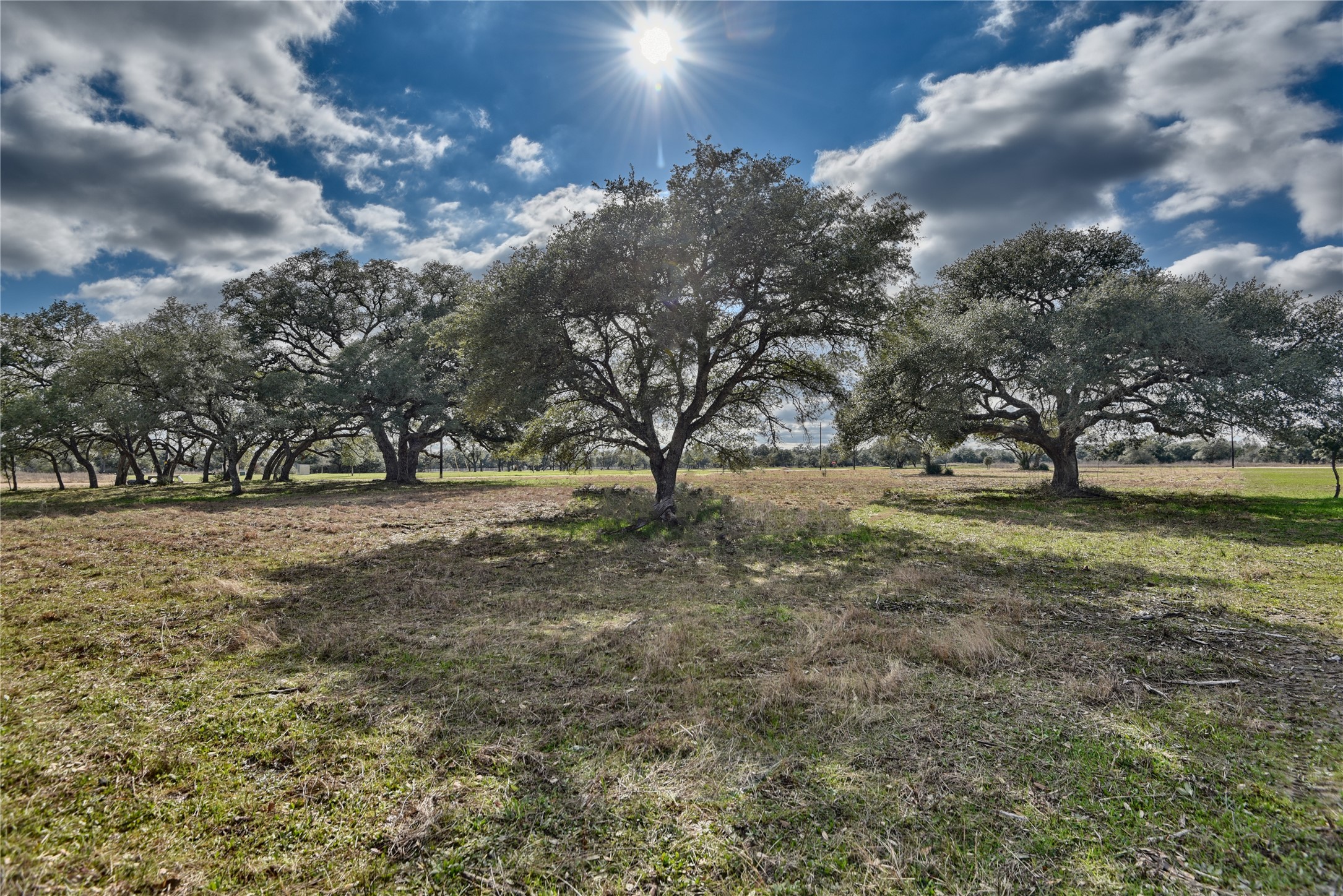 Tbd Legacy Oaks Lane Property Photo