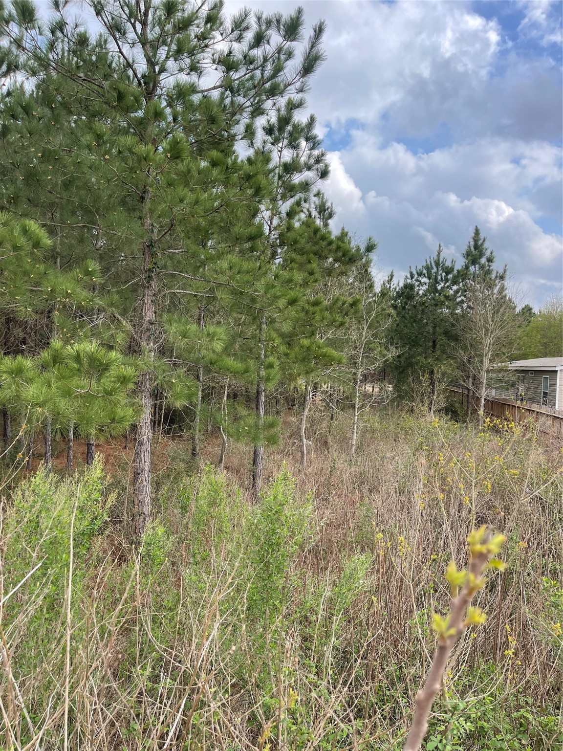 104 Road 5610 Property Photo 3