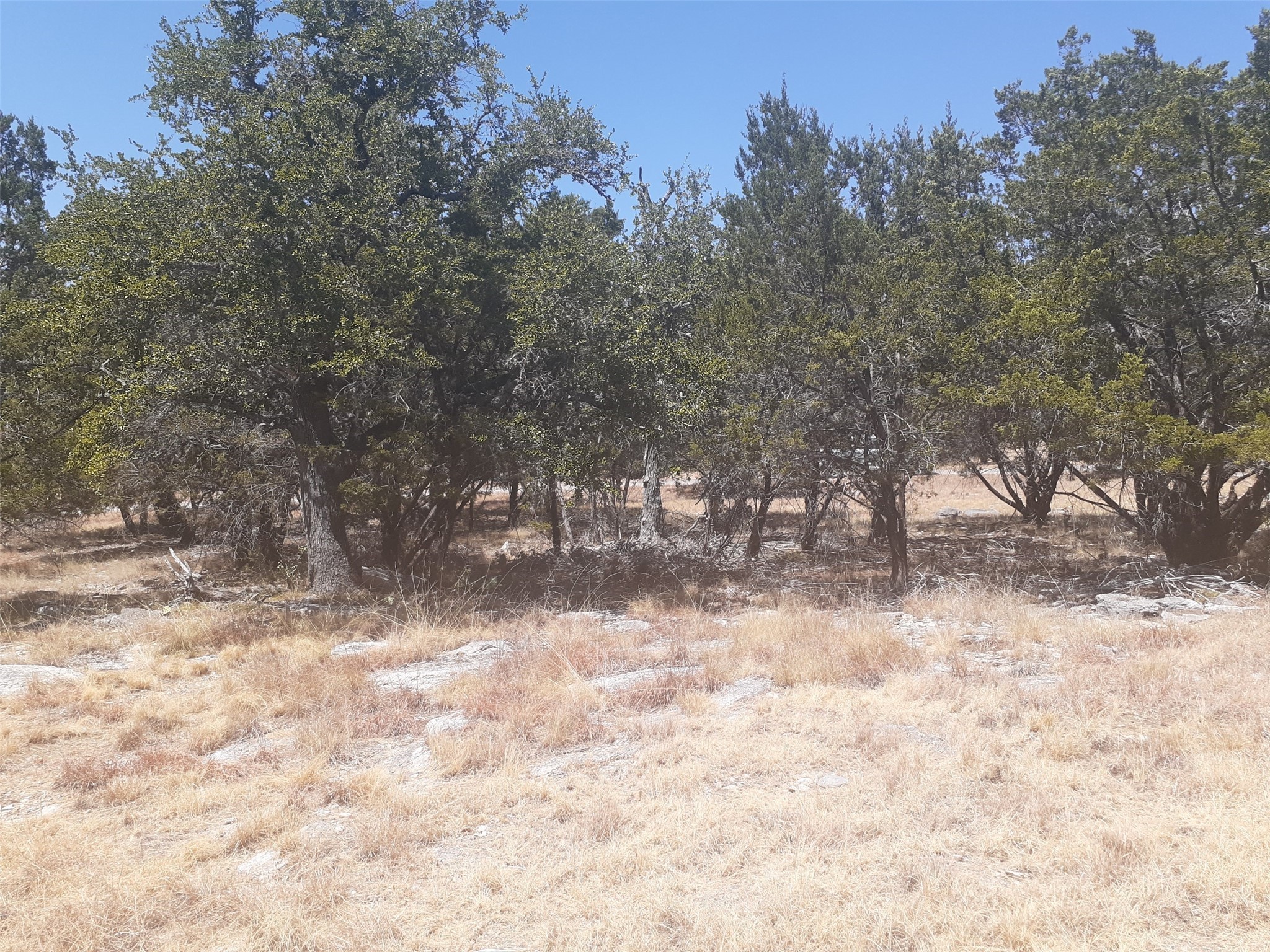 00 South Wind Property Photo 3