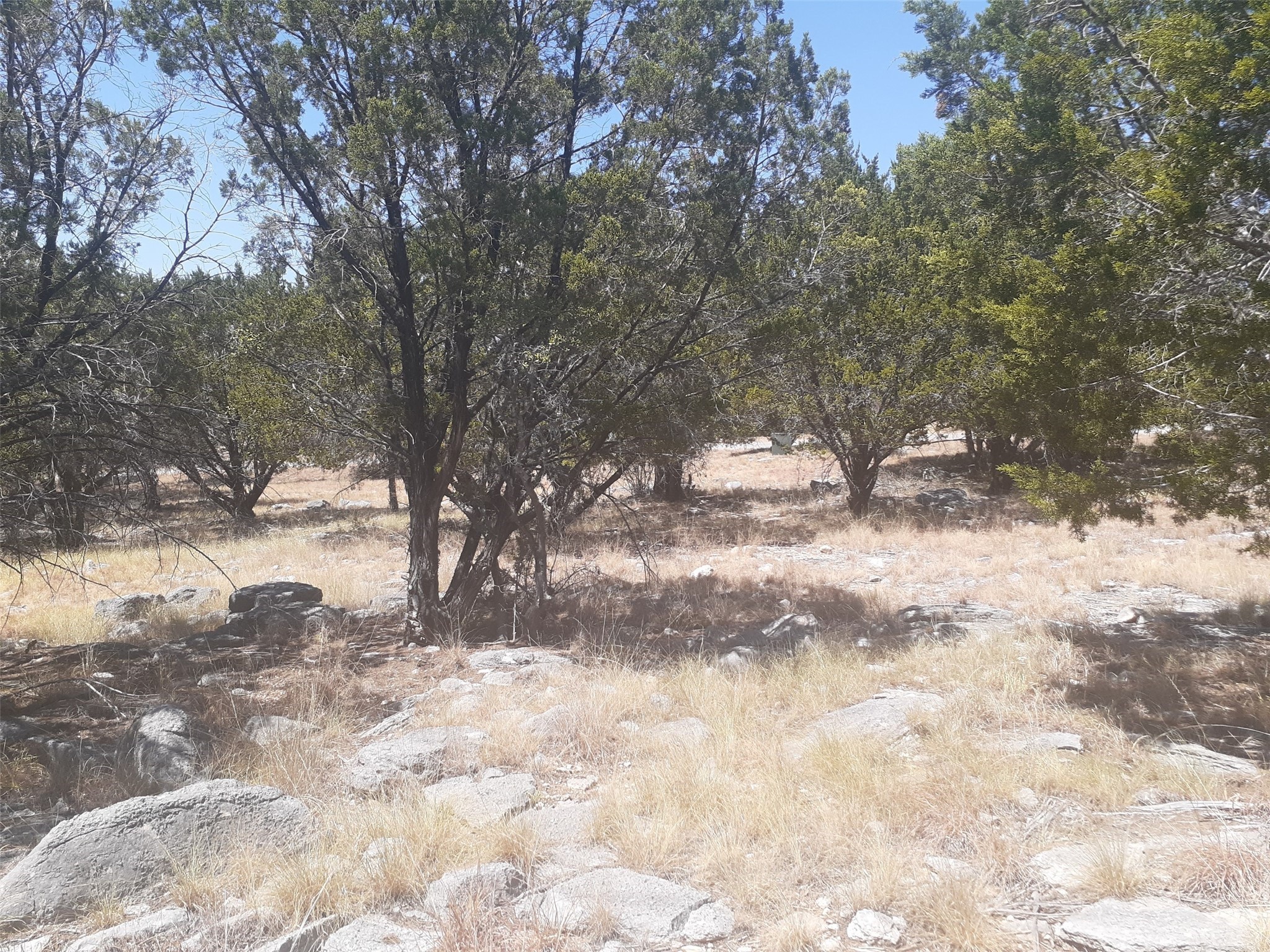 00 South Wind Property Photo 8