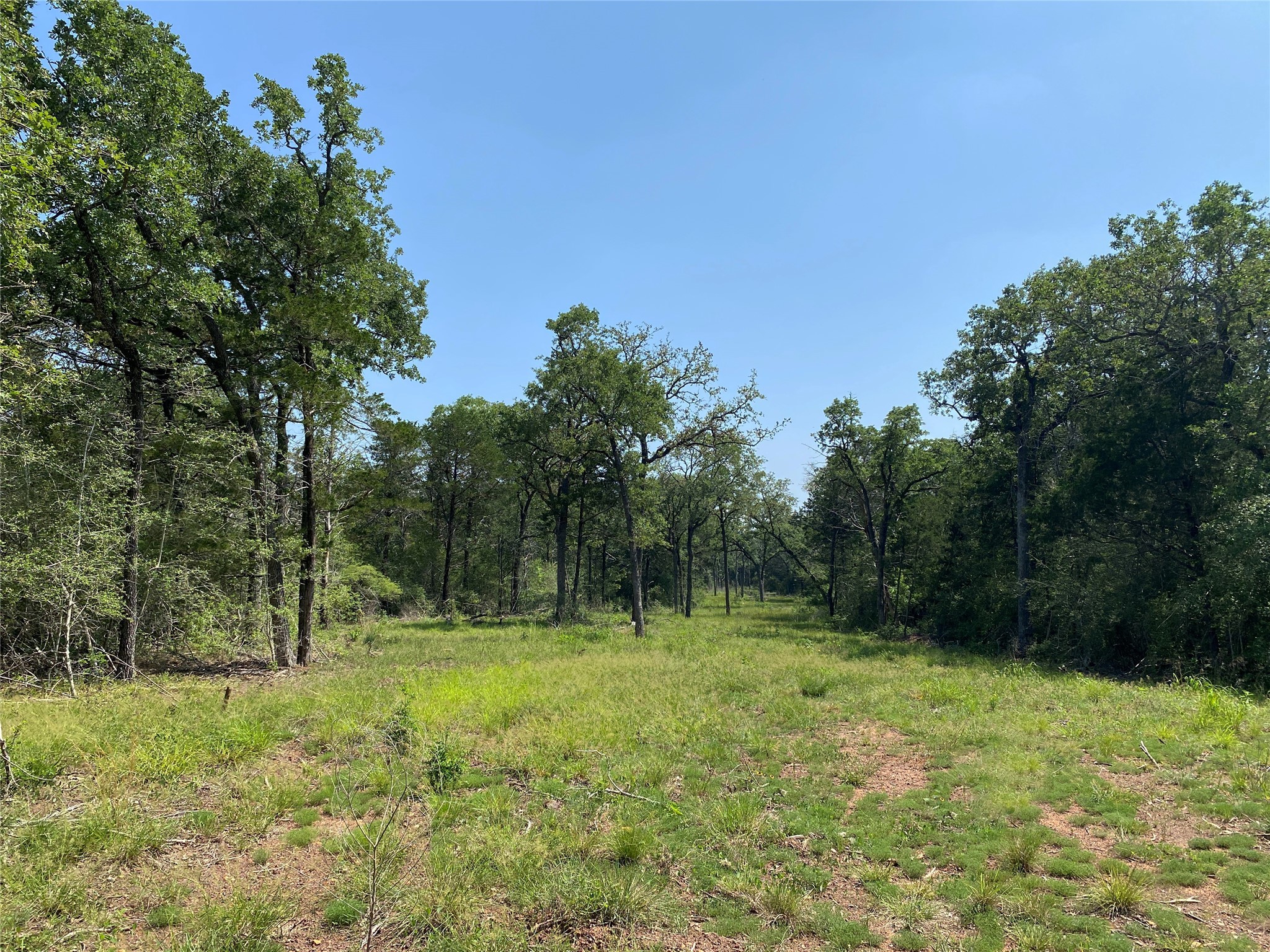 Tbd High Crossing Road - Tract 7-8 Property Photo 2